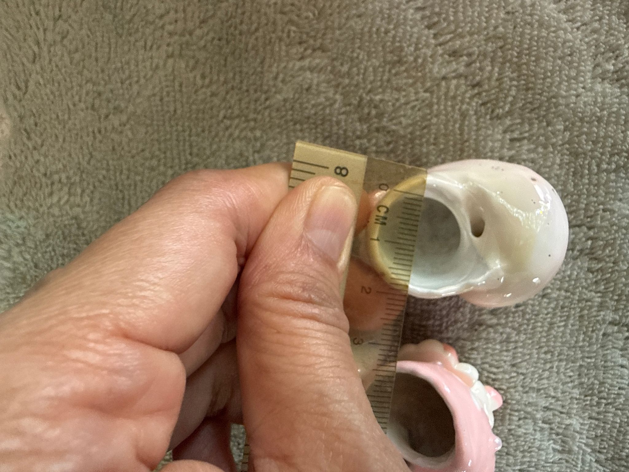Hermit crab replacement shells (opening 2cm roughly)