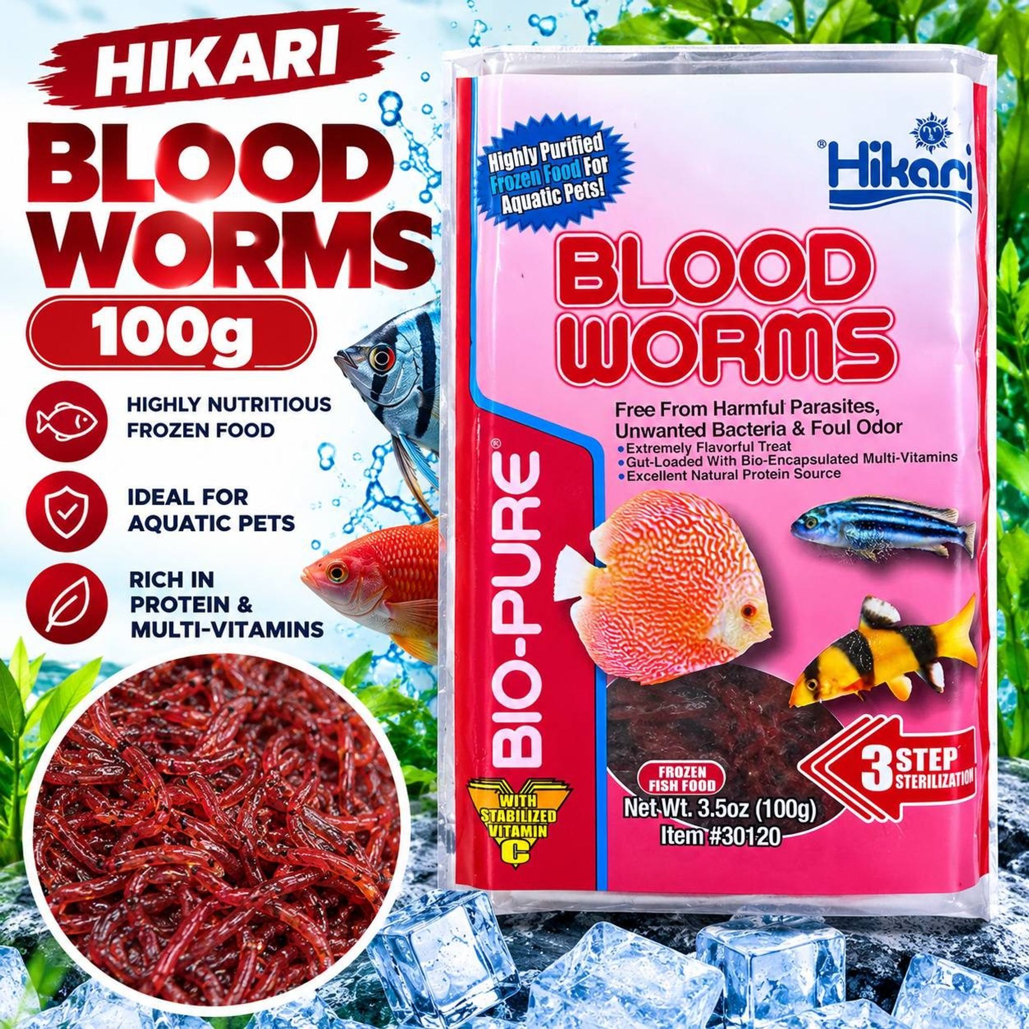 Hikari Blood Worms (100g)