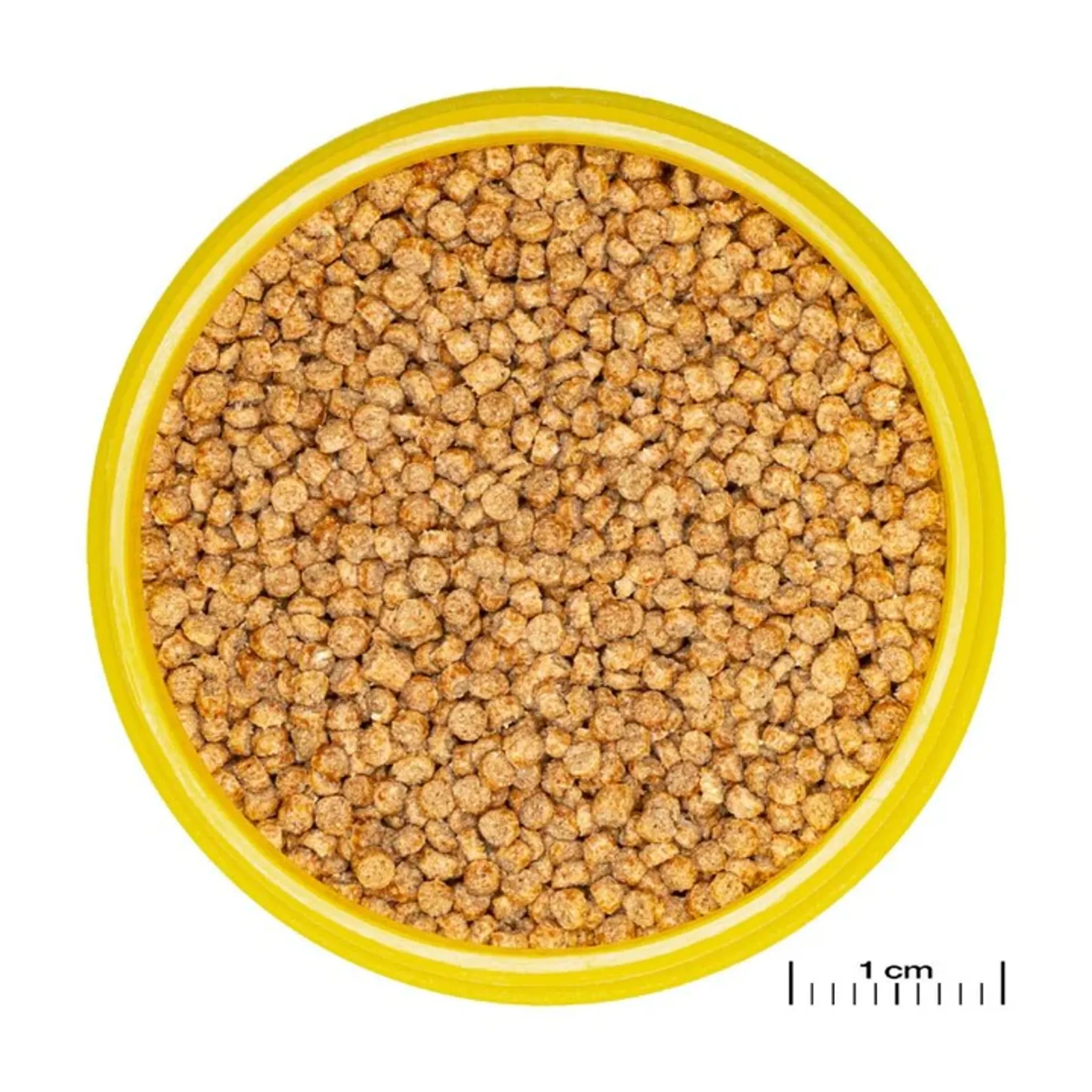 JBL Pronovo Cichlid Grano S: Premium Sinking Fish Food for Vibrant Small Cichlids