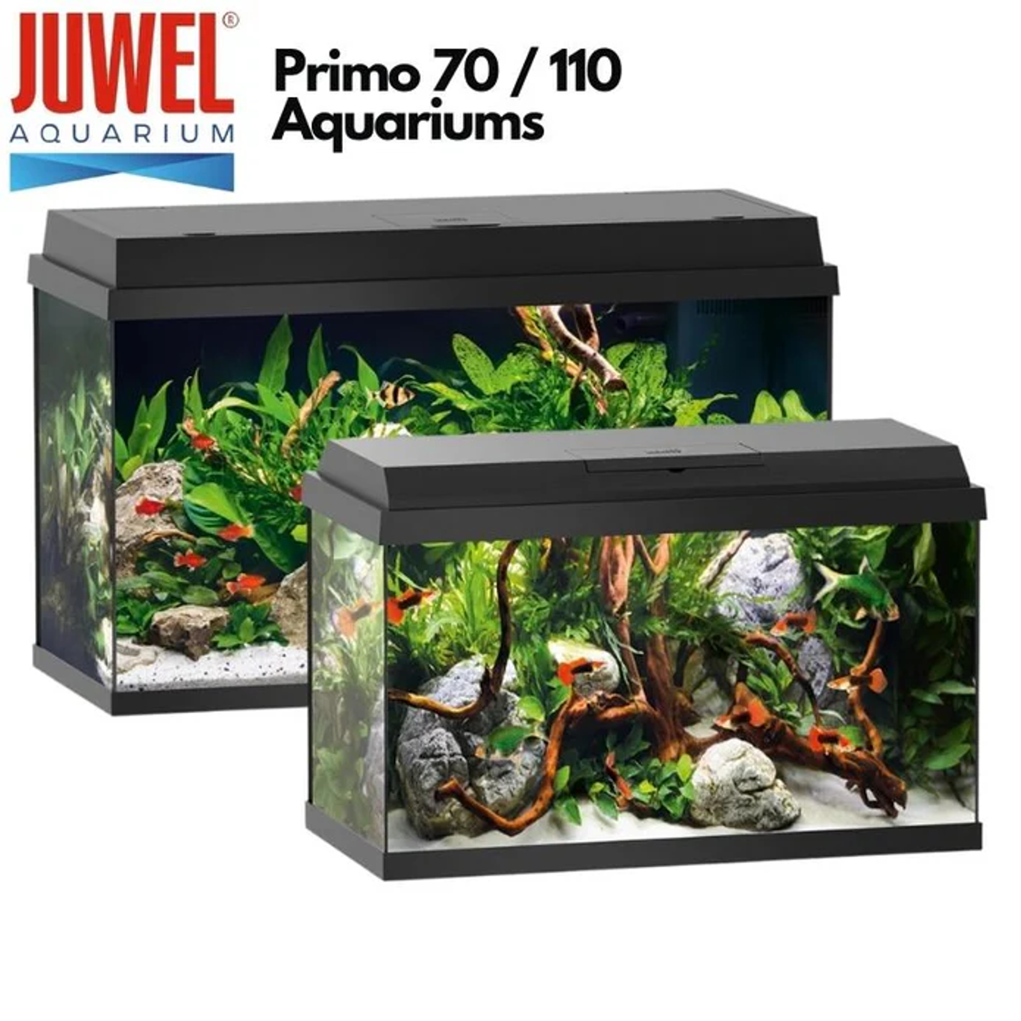 JUWEL Primo Aquariums Primo 70 Tank Set