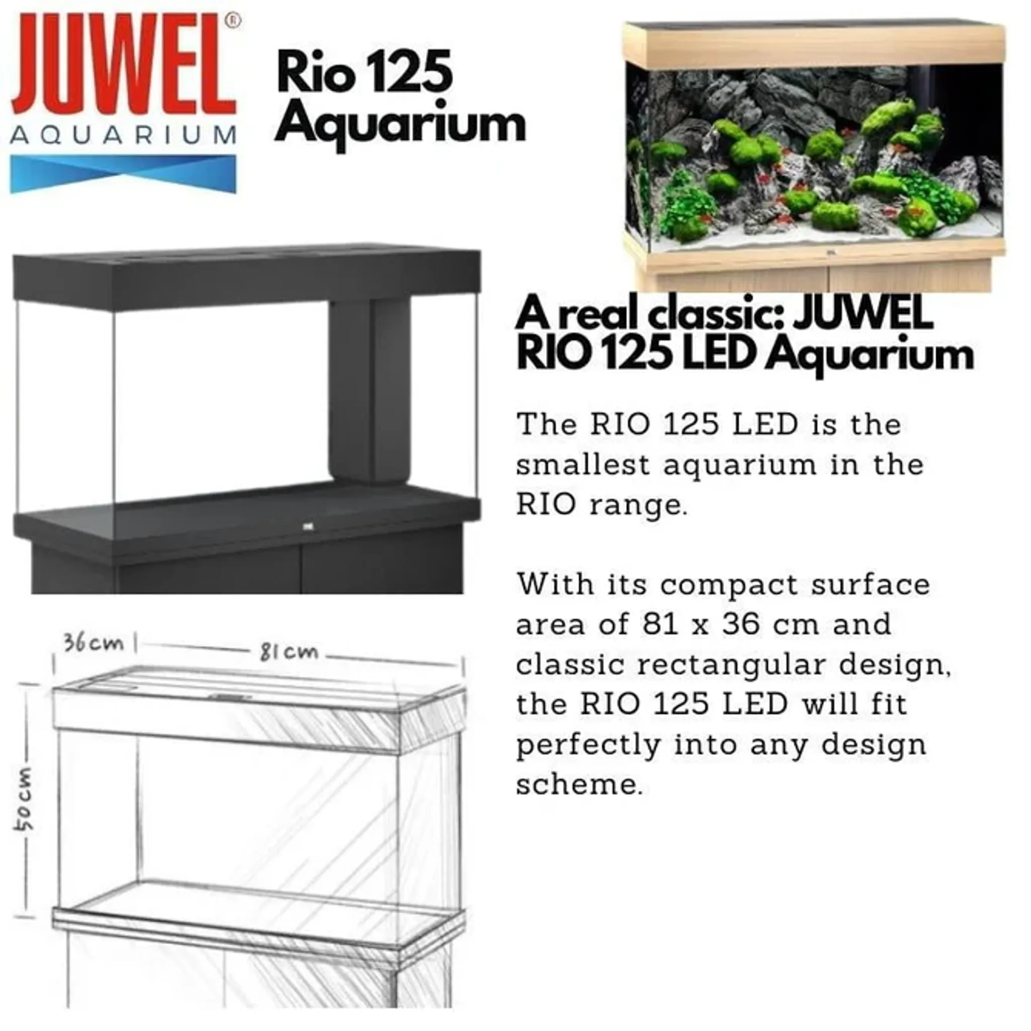 JUWEL Rio Aquariums (Rio 125 Tank Set)
