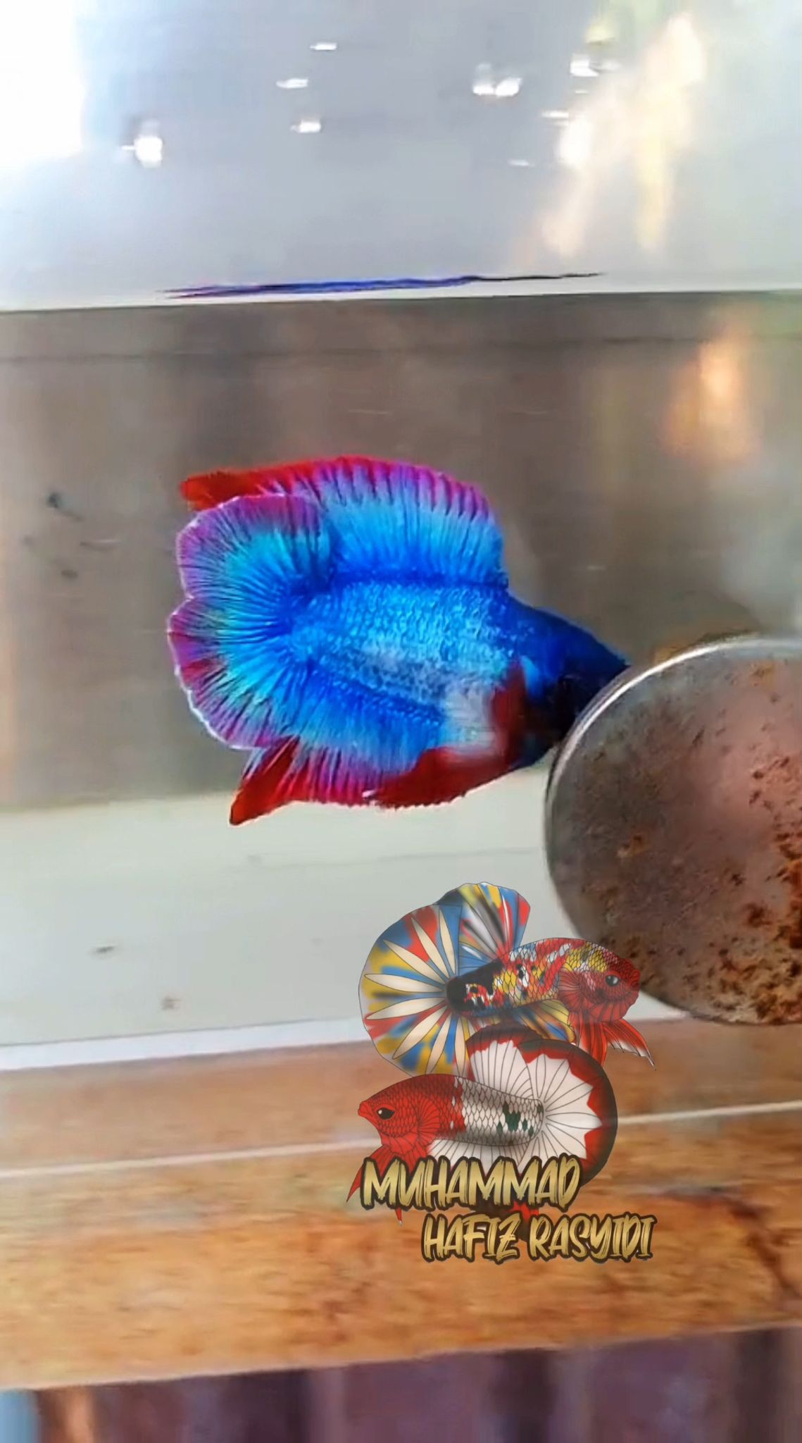Mascot