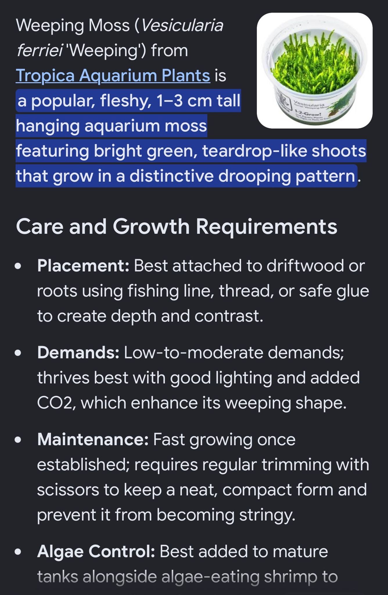 Moss DIY for planted tanks