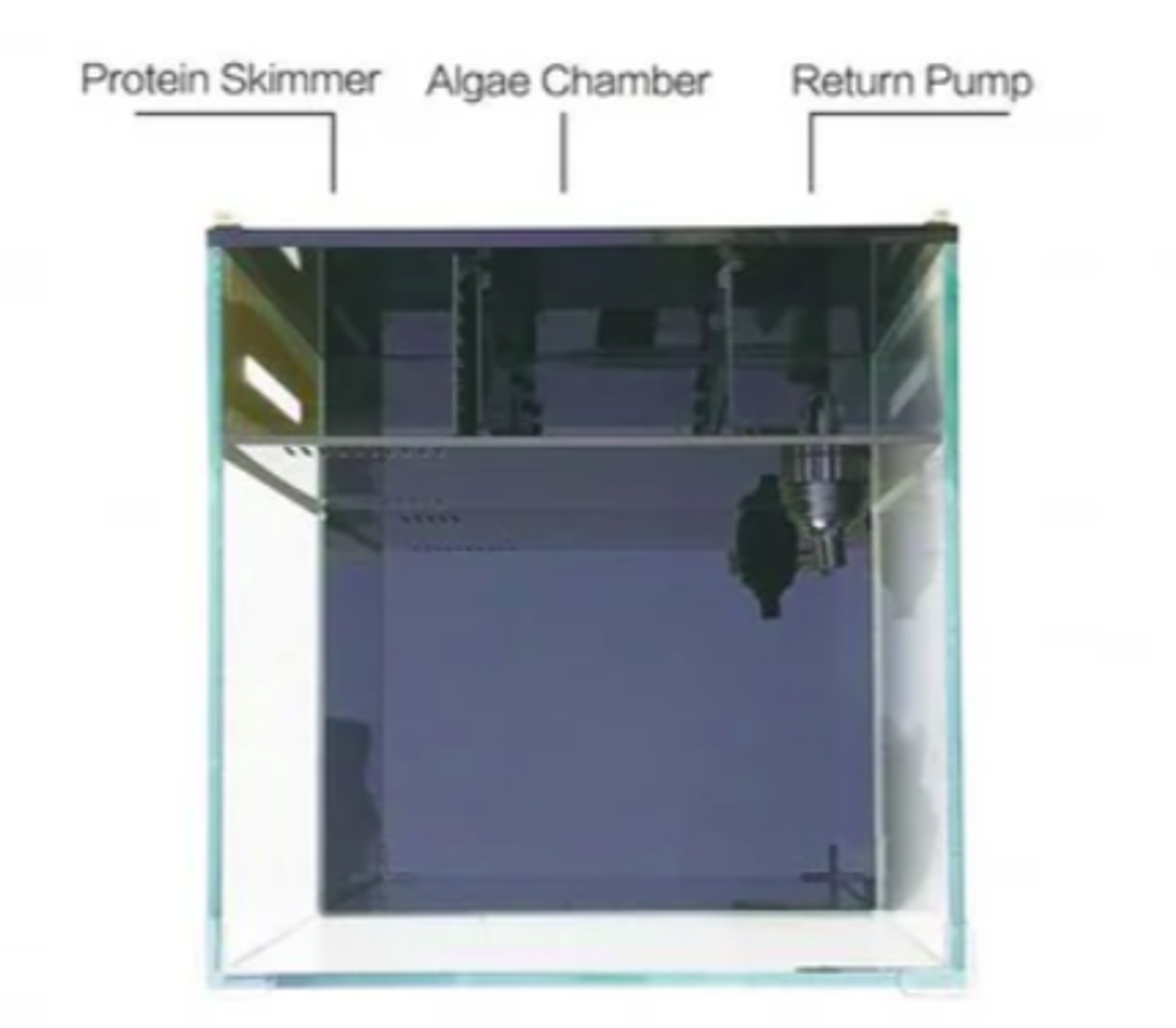 NEPTUNIAN CUBE Table Top T-45 / T-40