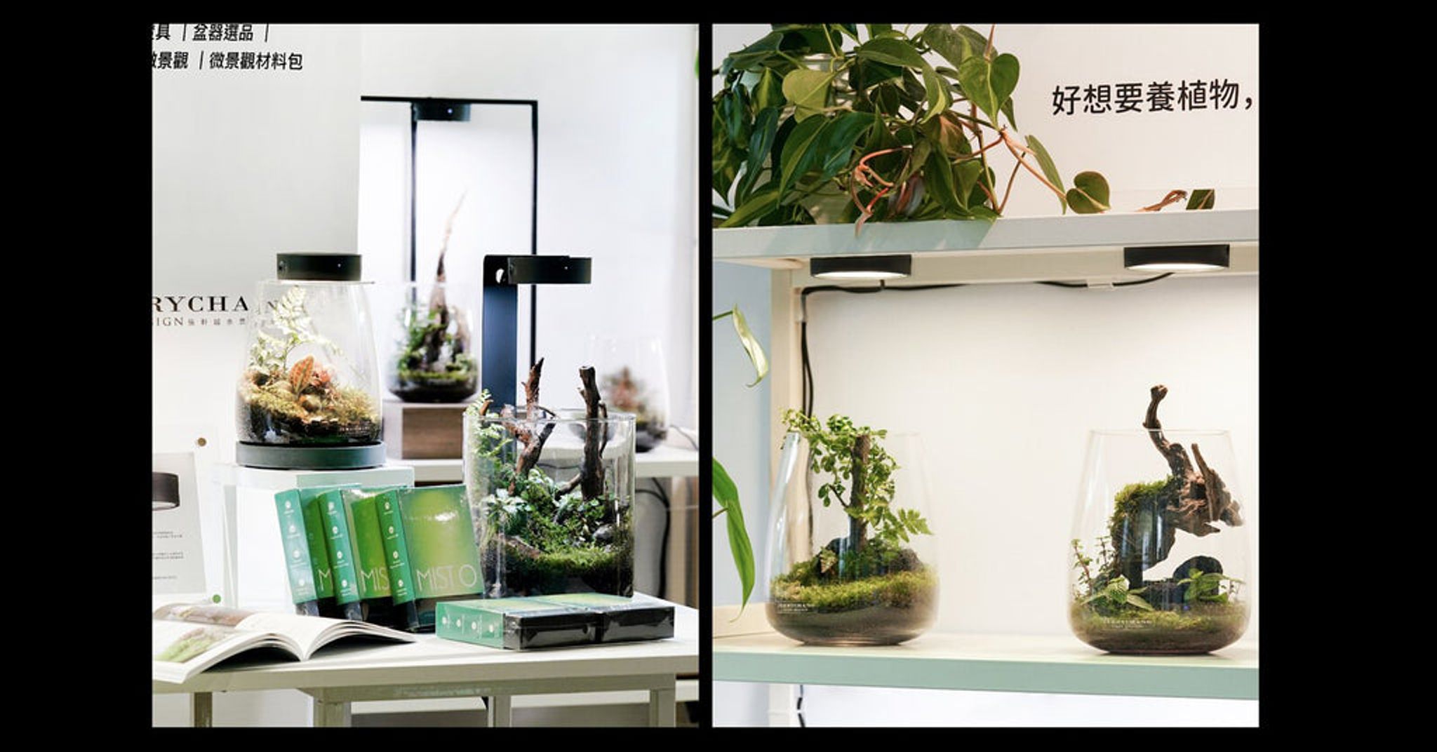 ONF MIST O (LED Magnetic Plant Light / Black)