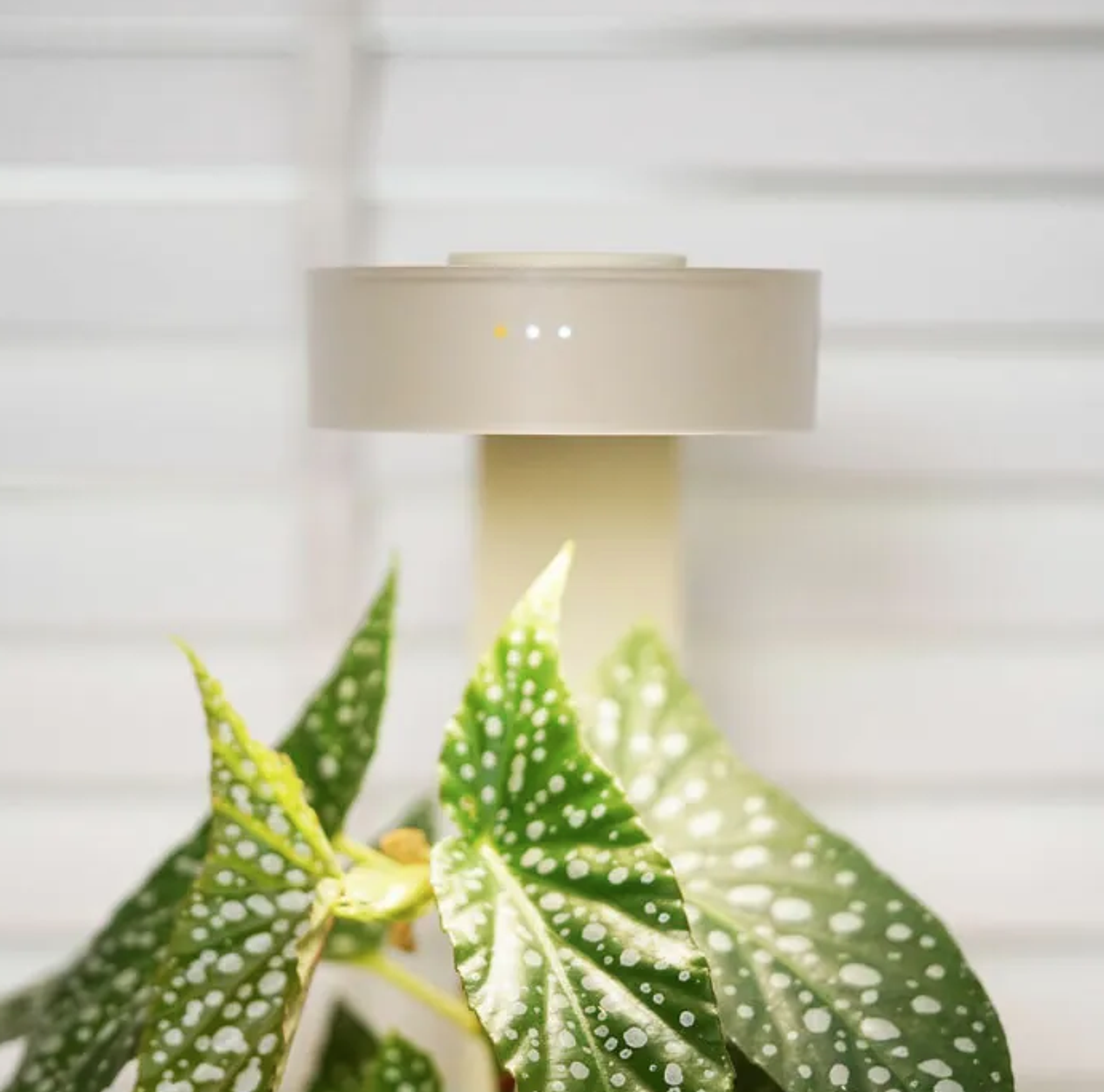 ONF MIST O+ (LED Magnetic Plant Light / Beige)