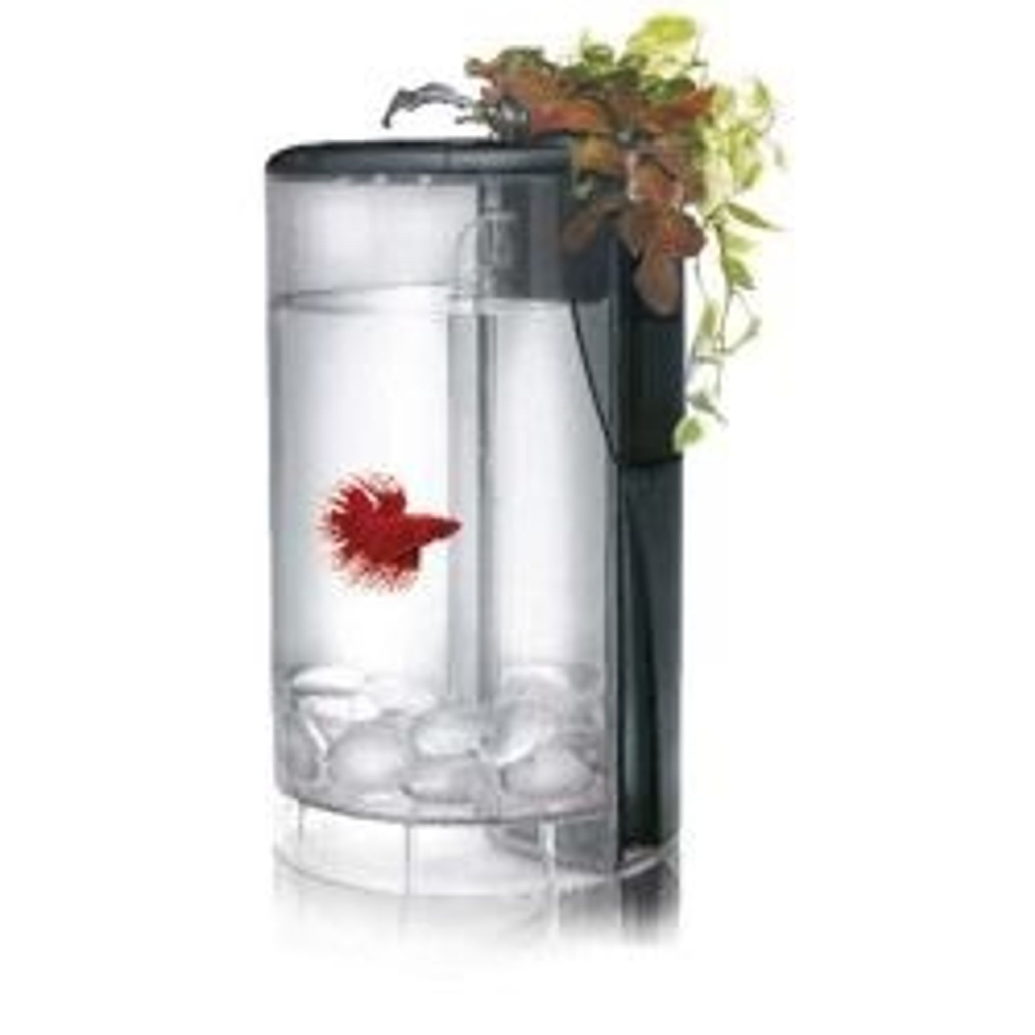 Ocean Free Betta Flora Tank (Options Available)