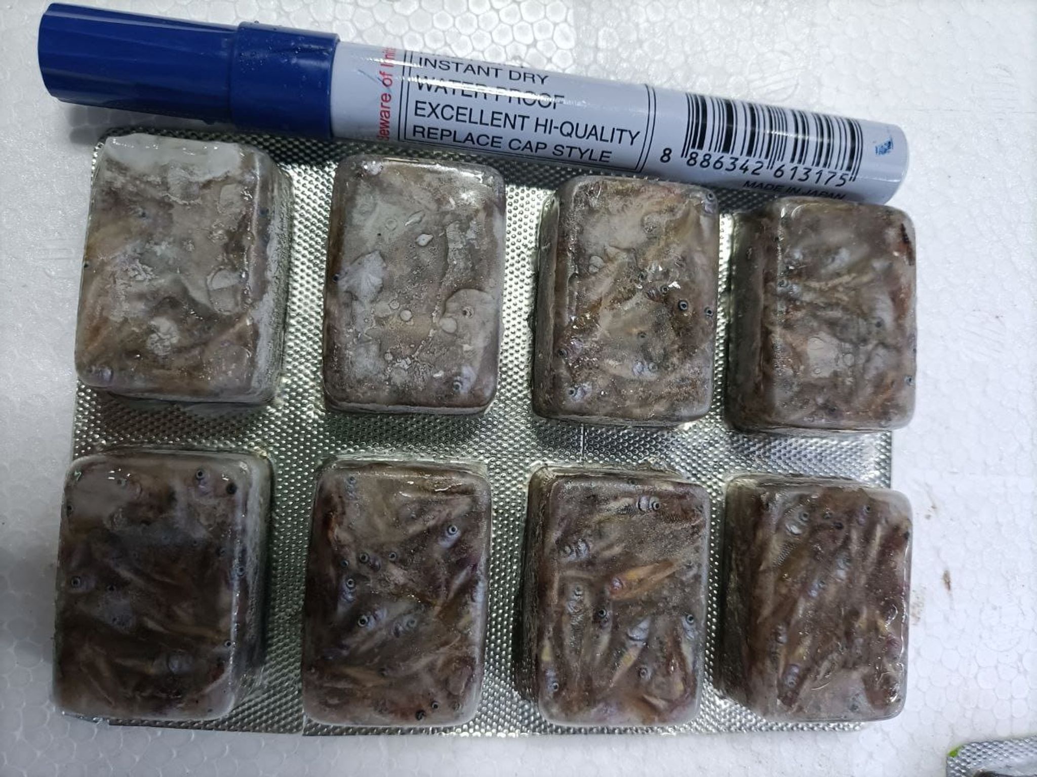 Ornamental Fish Nutrition (100g per slab)
