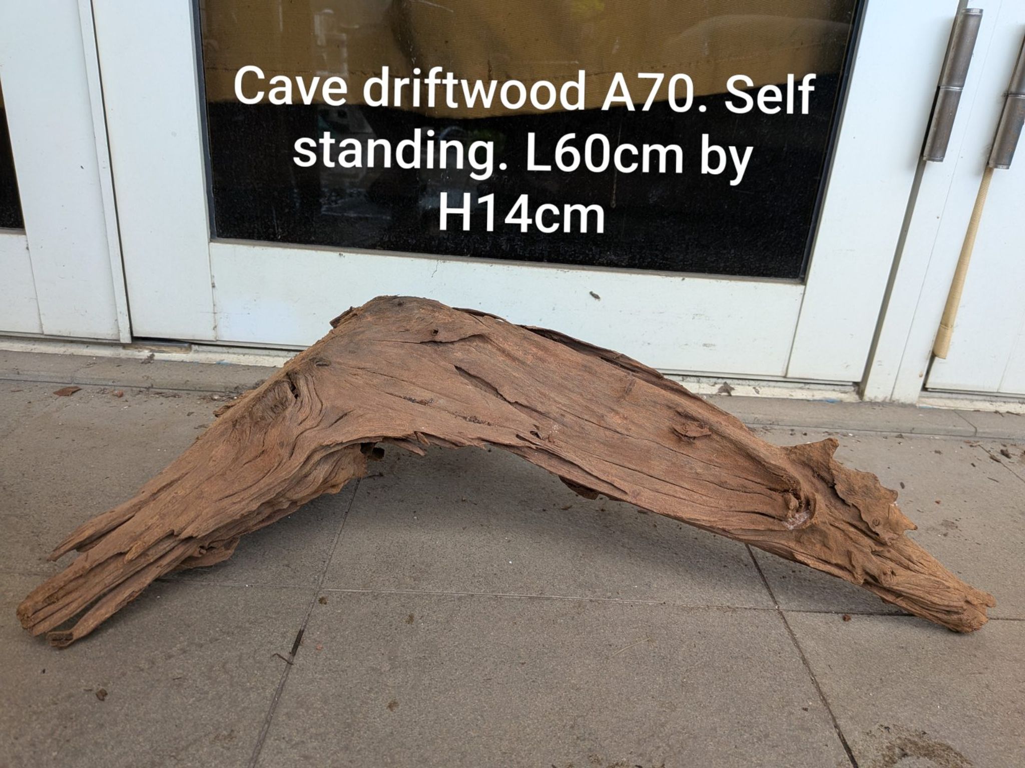 Premium Aquascaping Cave Driftwood A70 | Self-Standing Centerpiece (60cm)