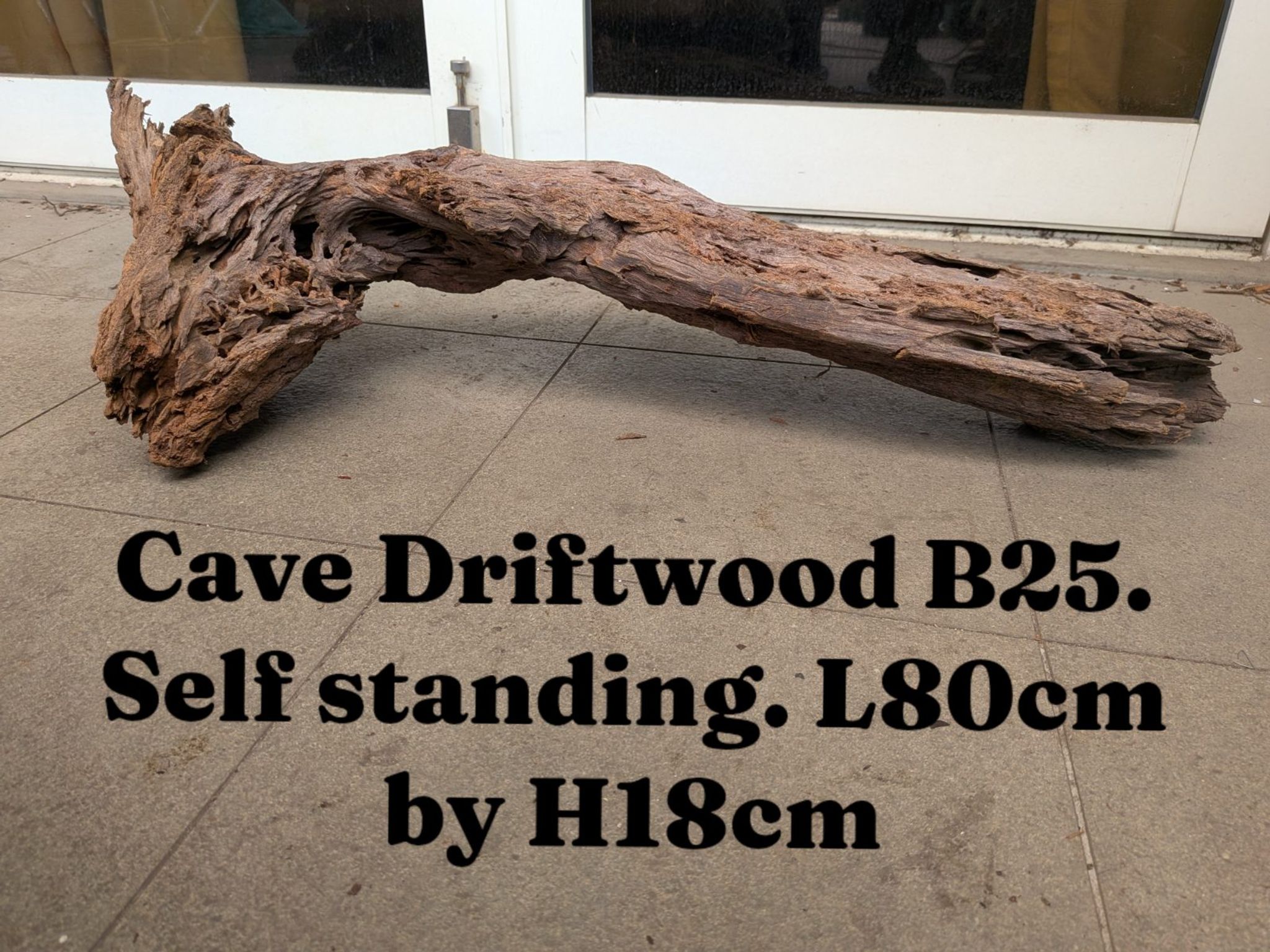 Premium Aquascaping Cave Driftwood B25 | Self-Standing Statement Centerpiece (80cm)