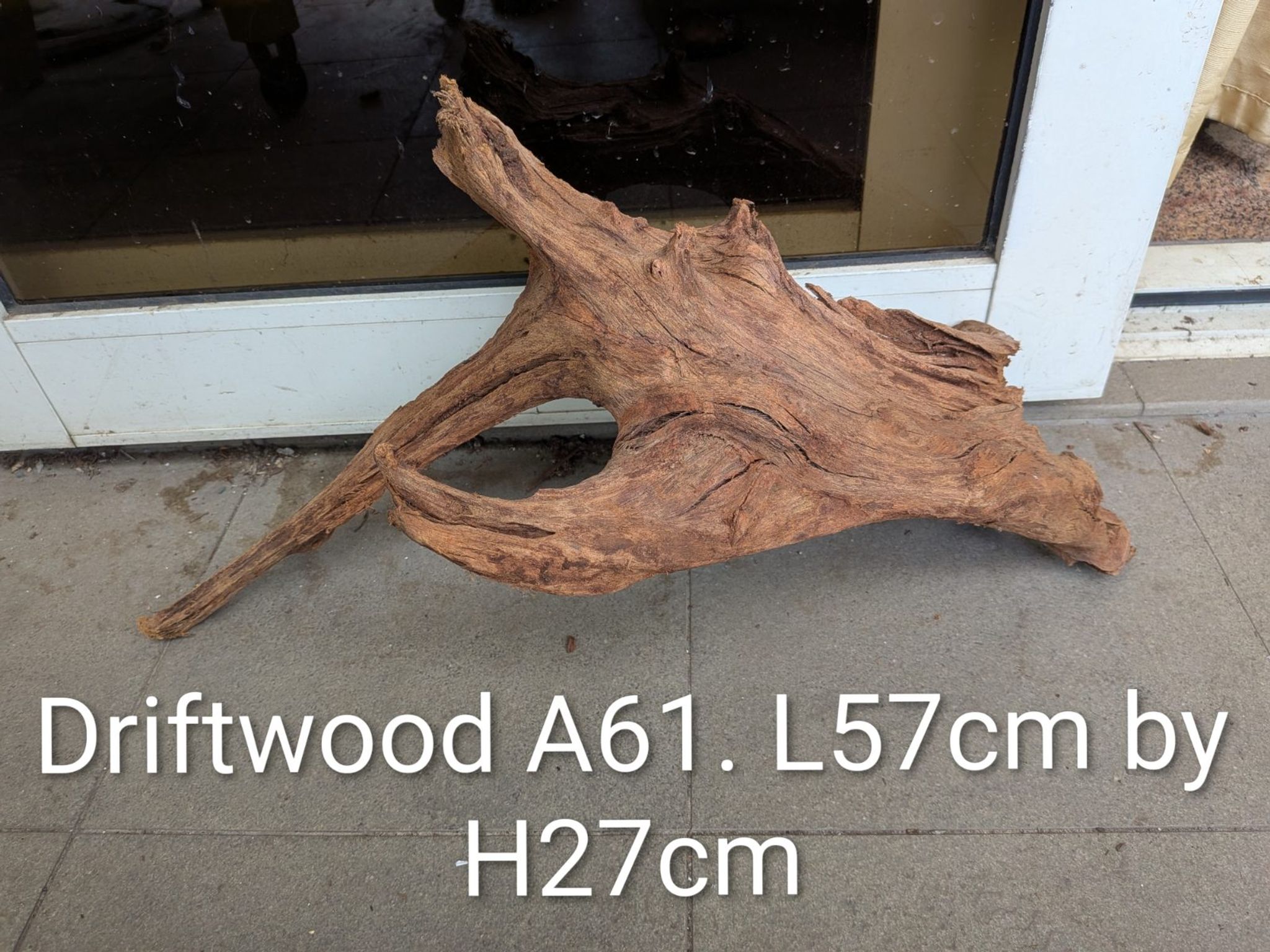 Premium Aquascaping Driftwood A61 | Brand New Hardscape Centerpiece
