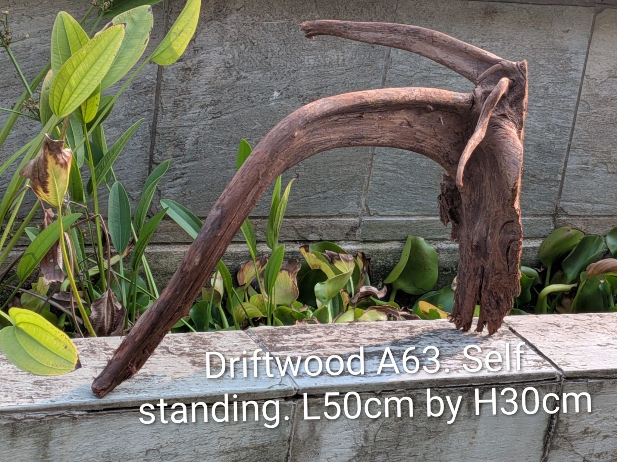 Premium Aquascaping Driftwood A63 - Brand New Self-Standing Centerpiece