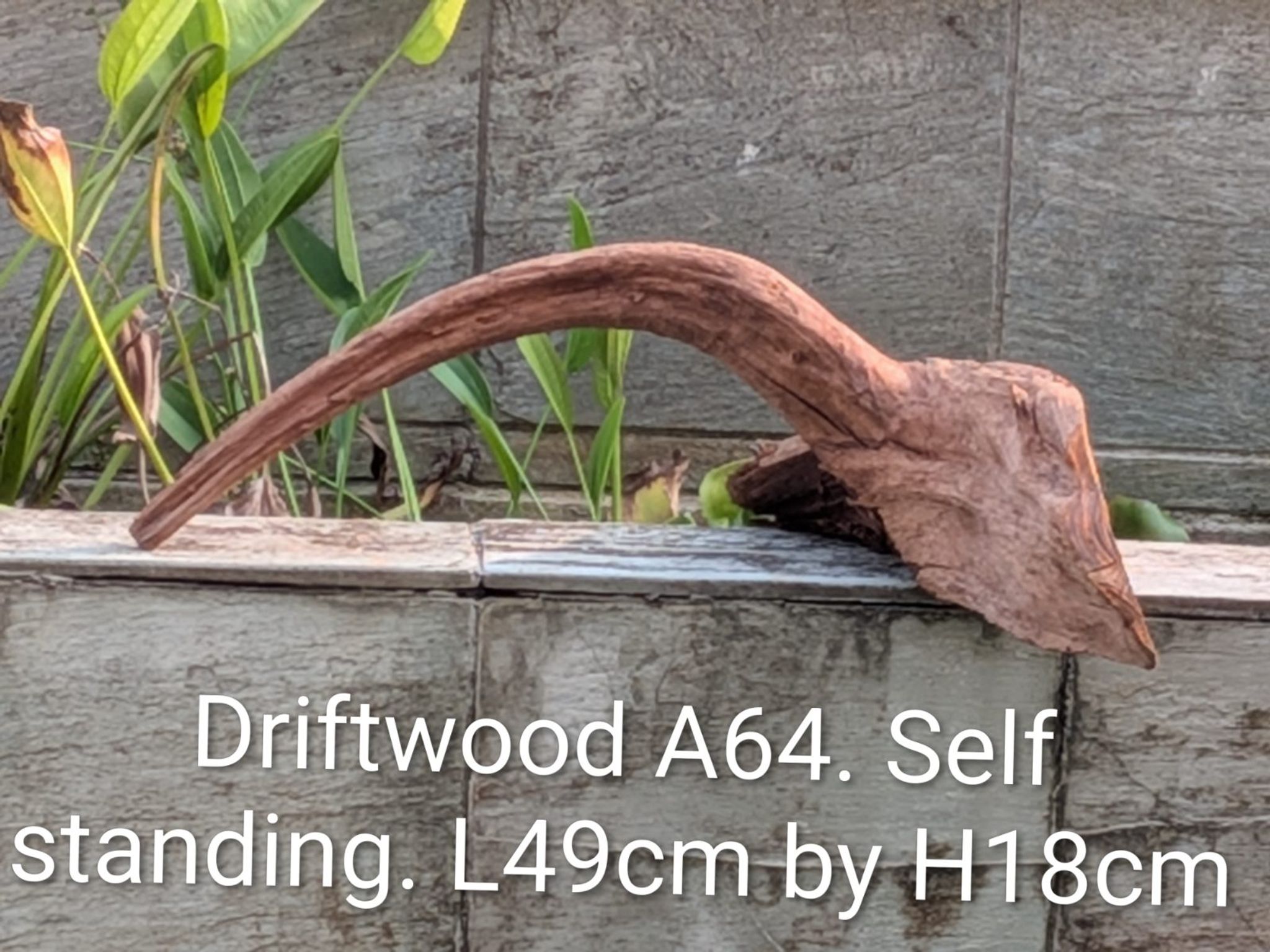 Premium Aquascaping Driftwood A64 - Self-Standing Centerpiece