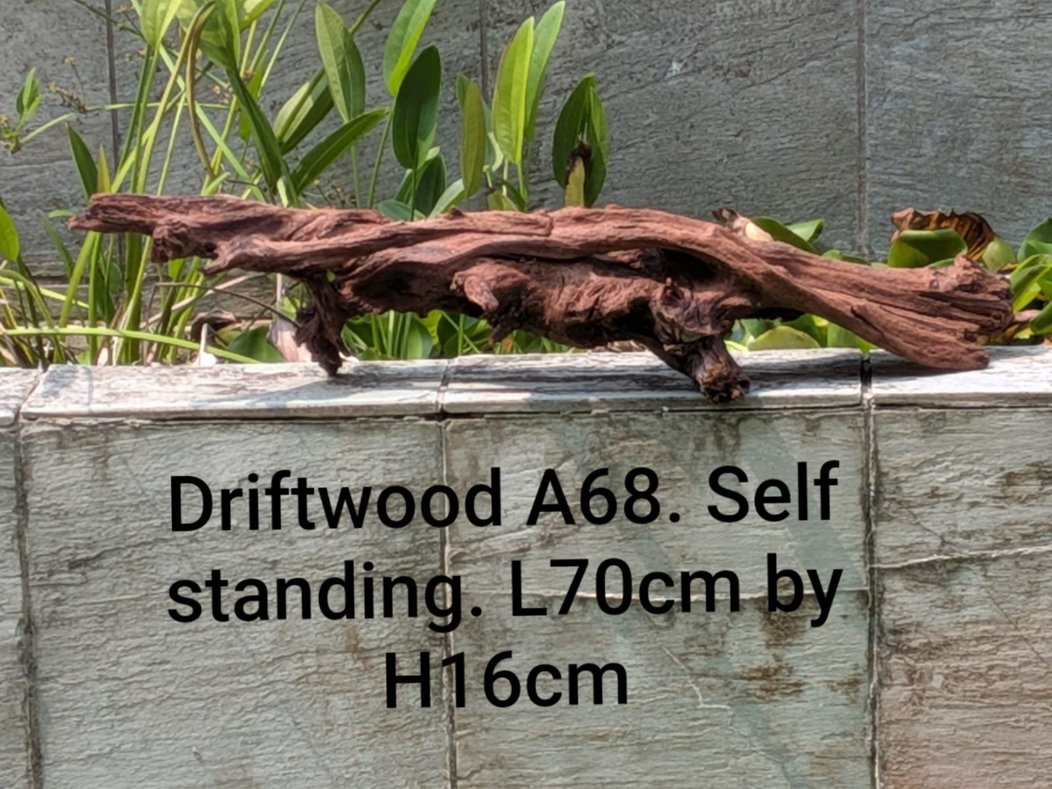 Premium Aquascaping Driftwood A68 | 70cm Long | Self-Standing Centerpiece