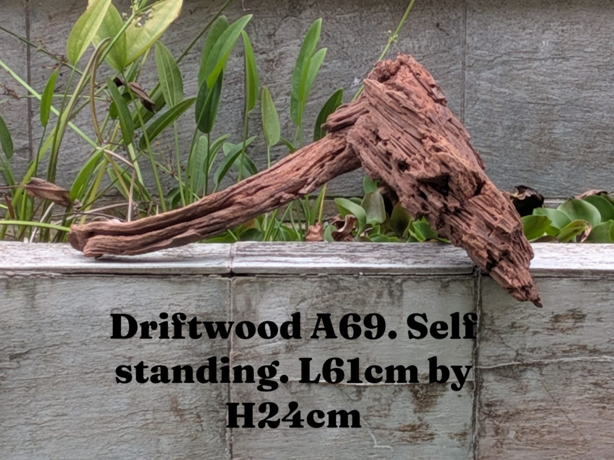 Premium Aquascaping Driftwood A69 | Self-Standing Centerpiece (61cm)