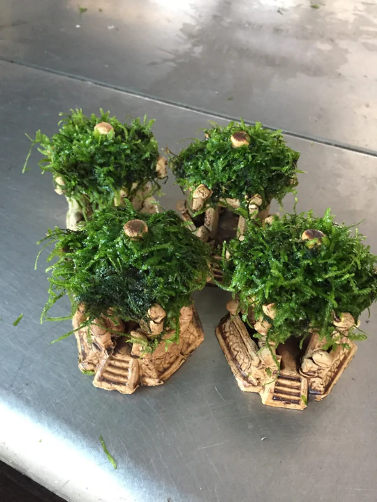Premium Live Moss Hexagonal Aquarium Pavilion Decor for Fish Tanks