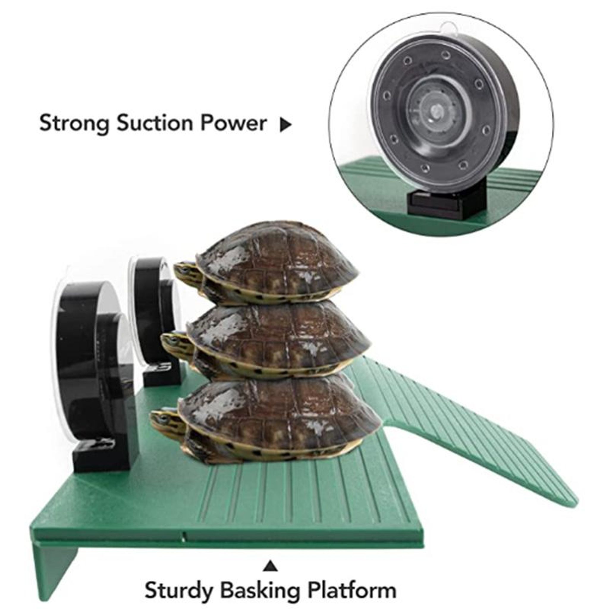 Reptizoo Turtle Basking Platform (Medium)(Suitable for Glass Tanks)