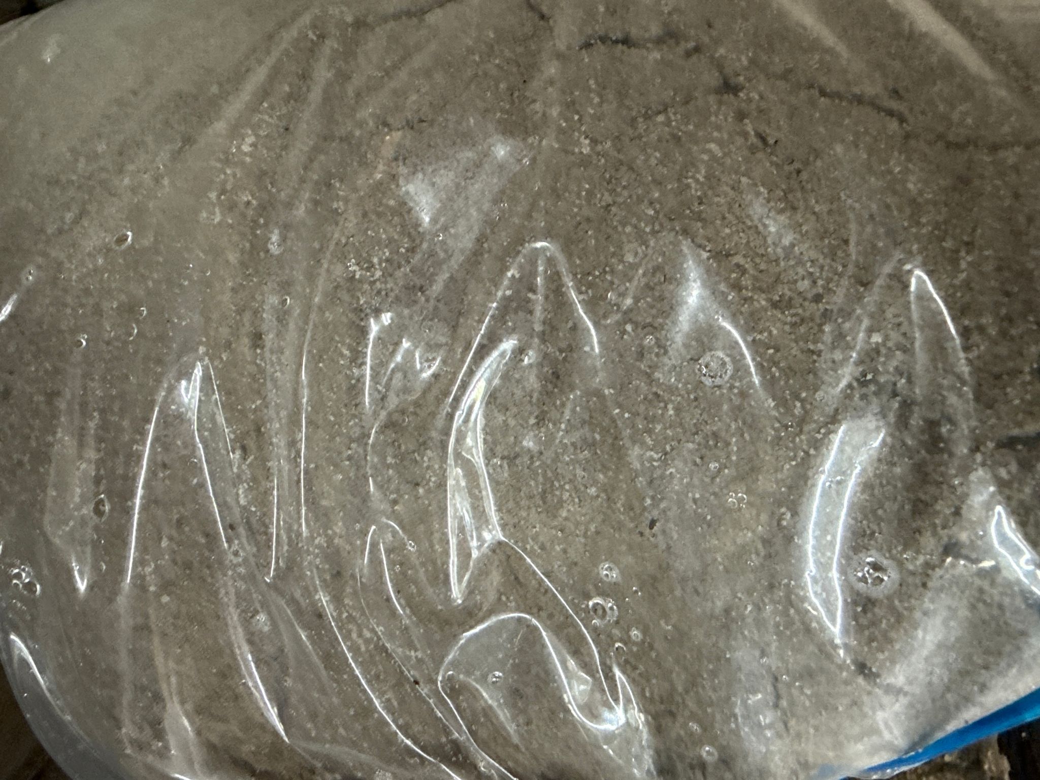 Sand (suitable for hermit crabs enclosure)