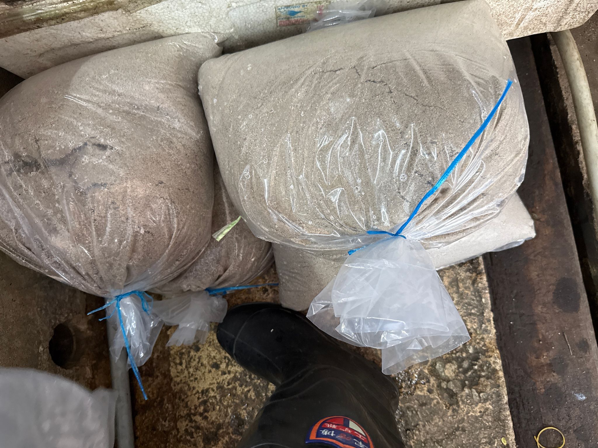 Sand (suitable for hermit crabs enclosure)