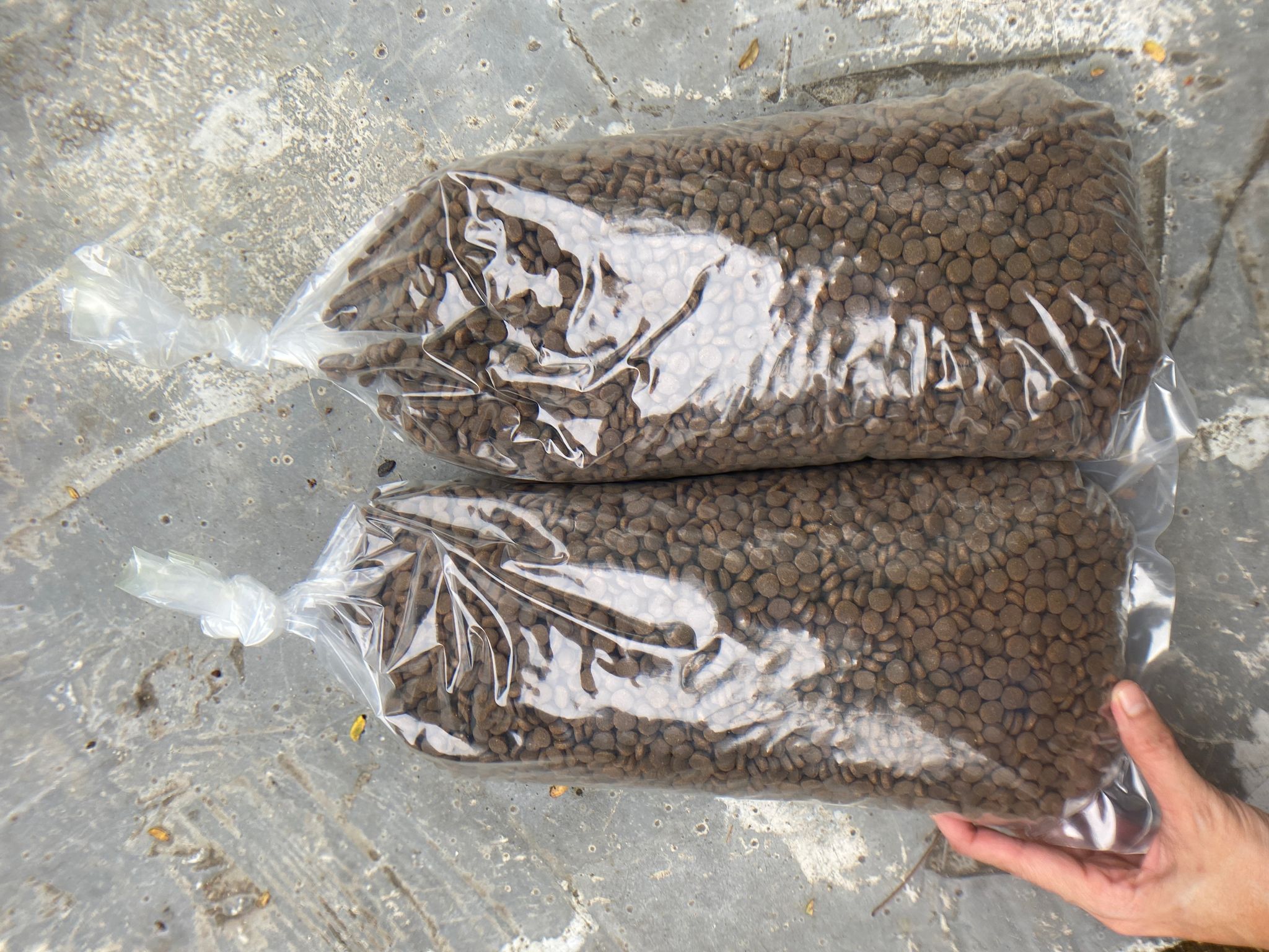 Sinking or Floating pellets (farm use)