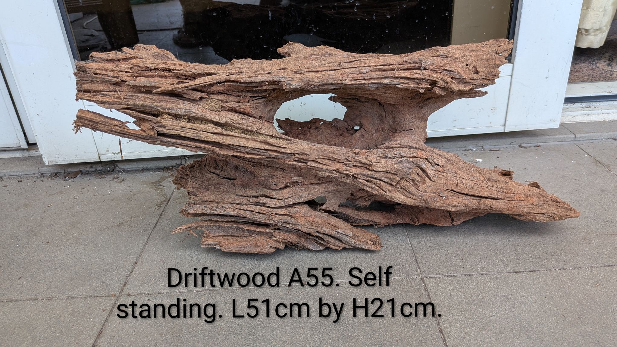 [A55] Premium Self-Standing Heavily Weathered Hollow Cave & Log Driftwood