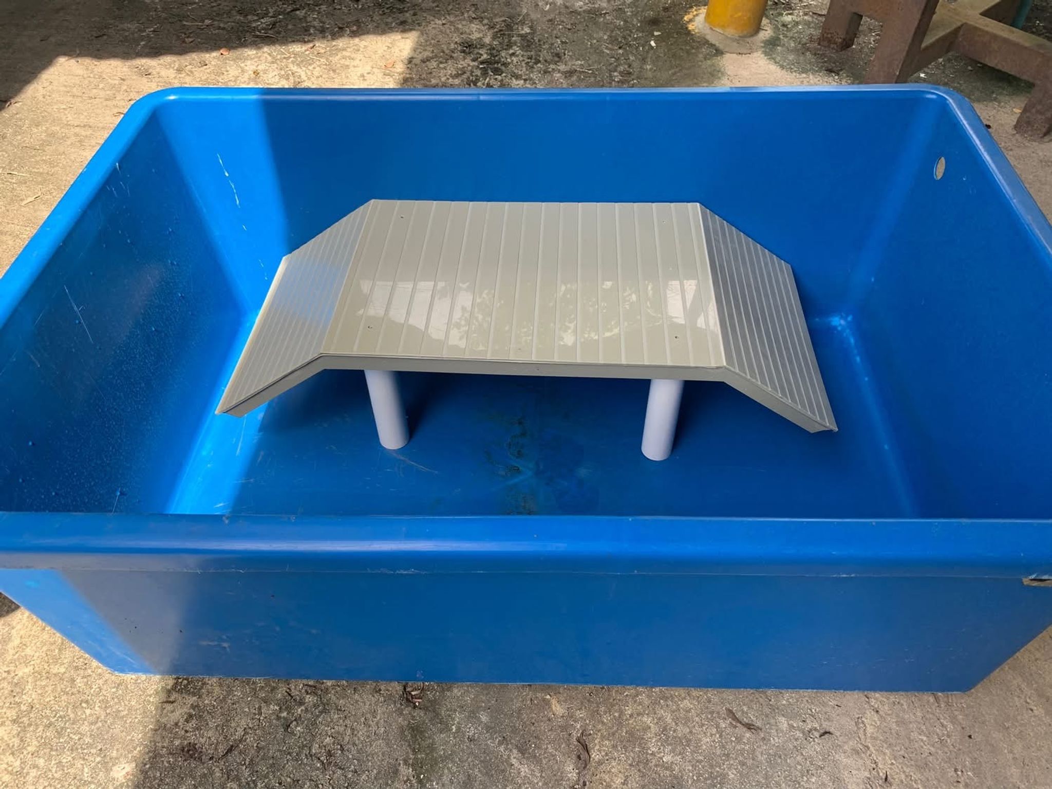 Turtle Basking Platform