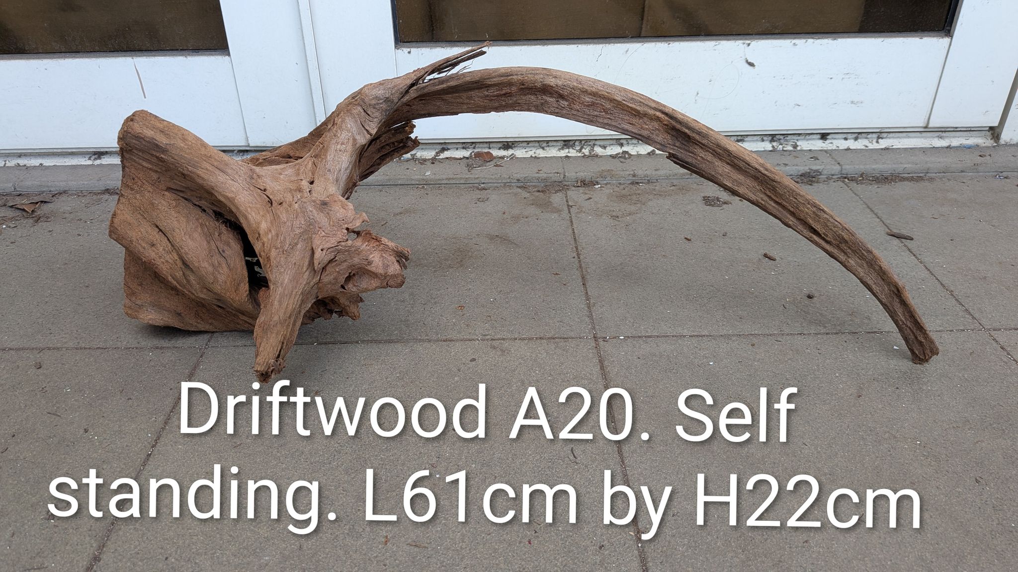 Unique "Scorpion Tail" Hardwood Arch