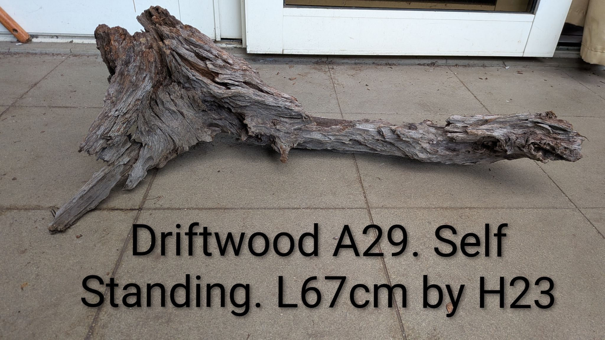 WTS: Premium Self-Standing Driftwood A29 (L67cm x H23cm)