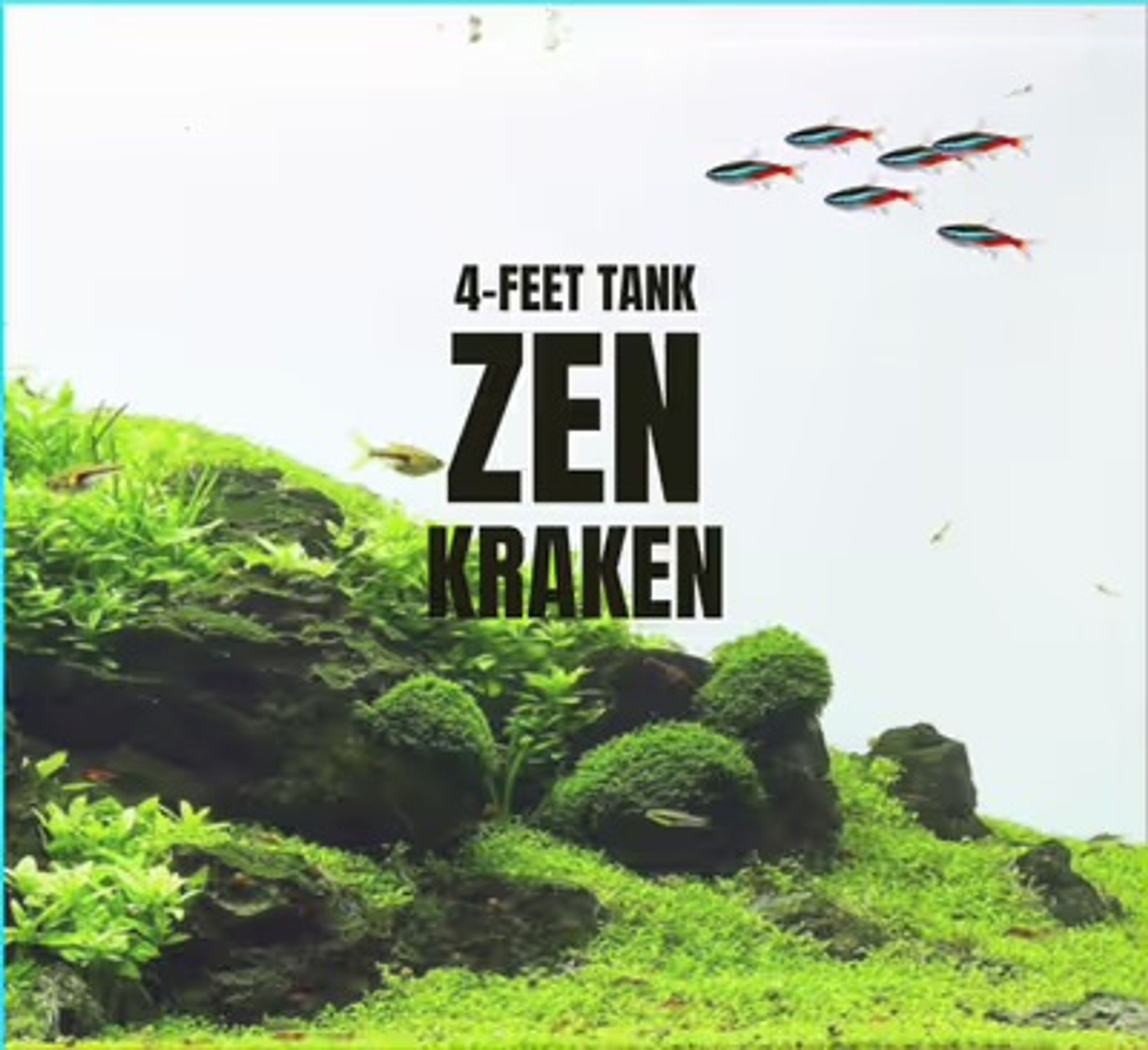 Zen Adventure Pack 3 feet
