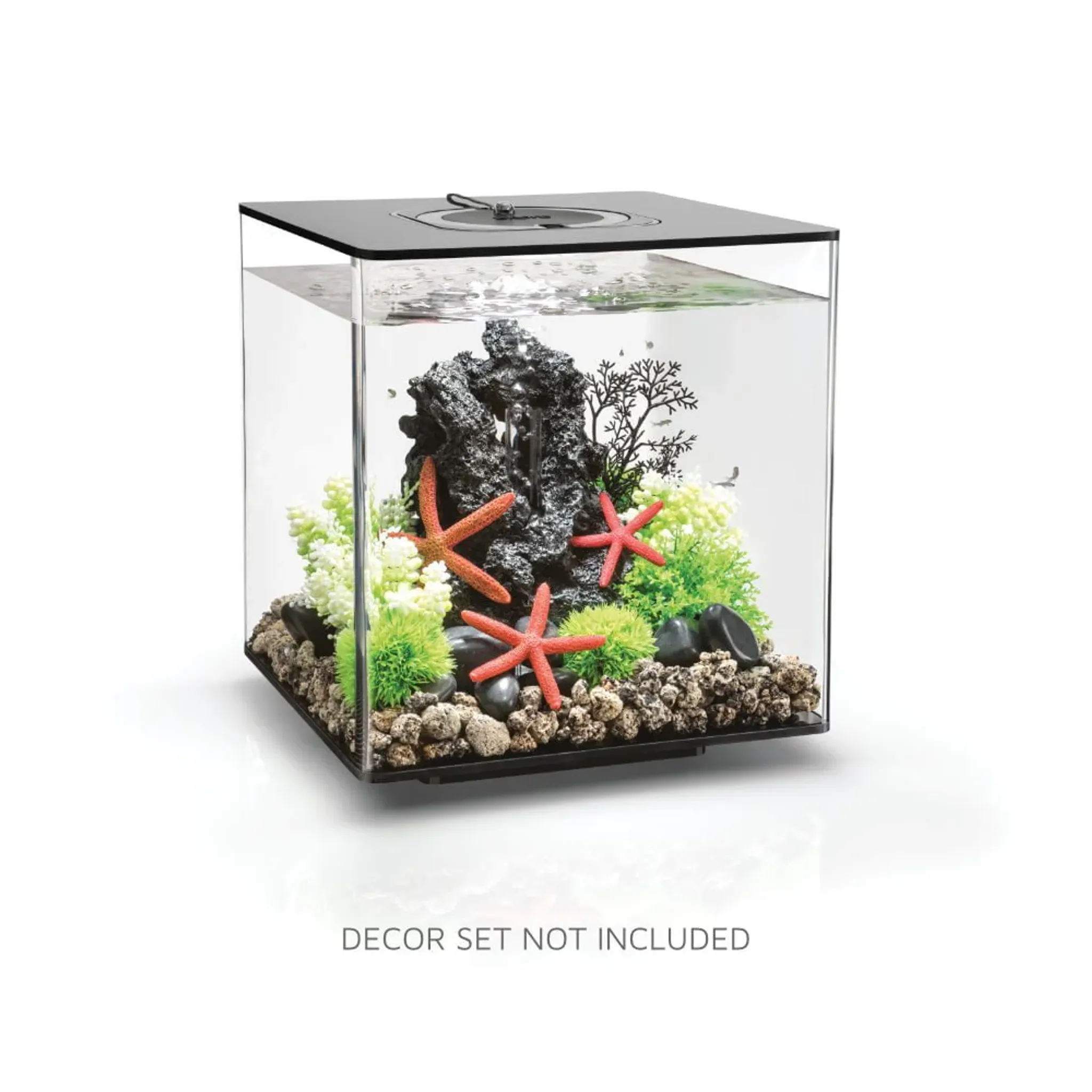 biOrb CUBE 30 Aquarium (MCR - Multi-Color Remote)