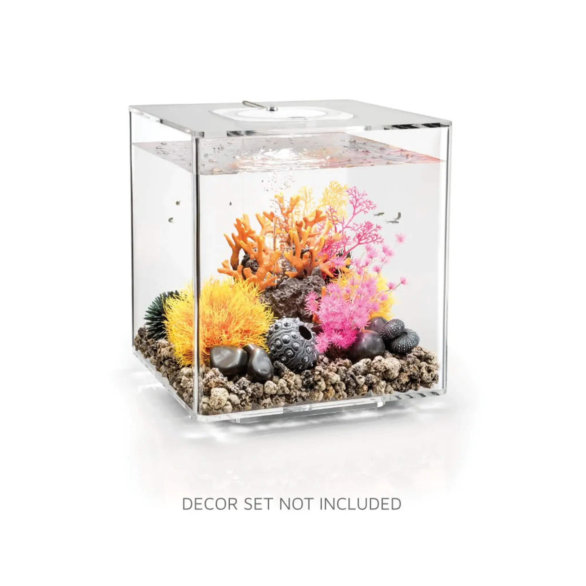 biOrb CUBE 30 Aquarium (MCR - Multi-Color Remote)