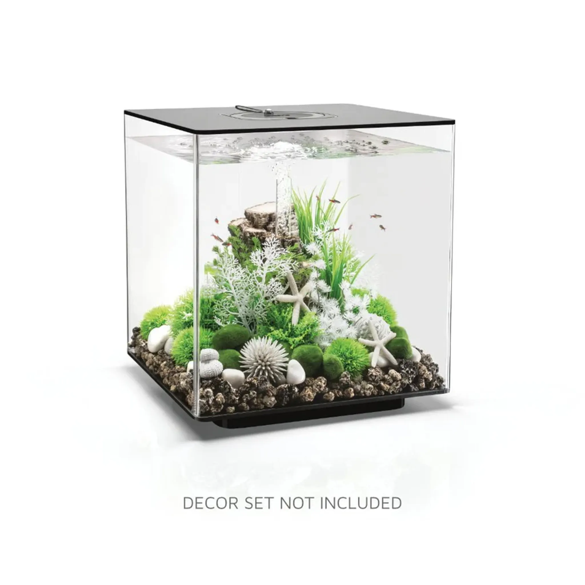 biOrb CUBE 60 Aquarium (MCR - Multi-Color Remote)