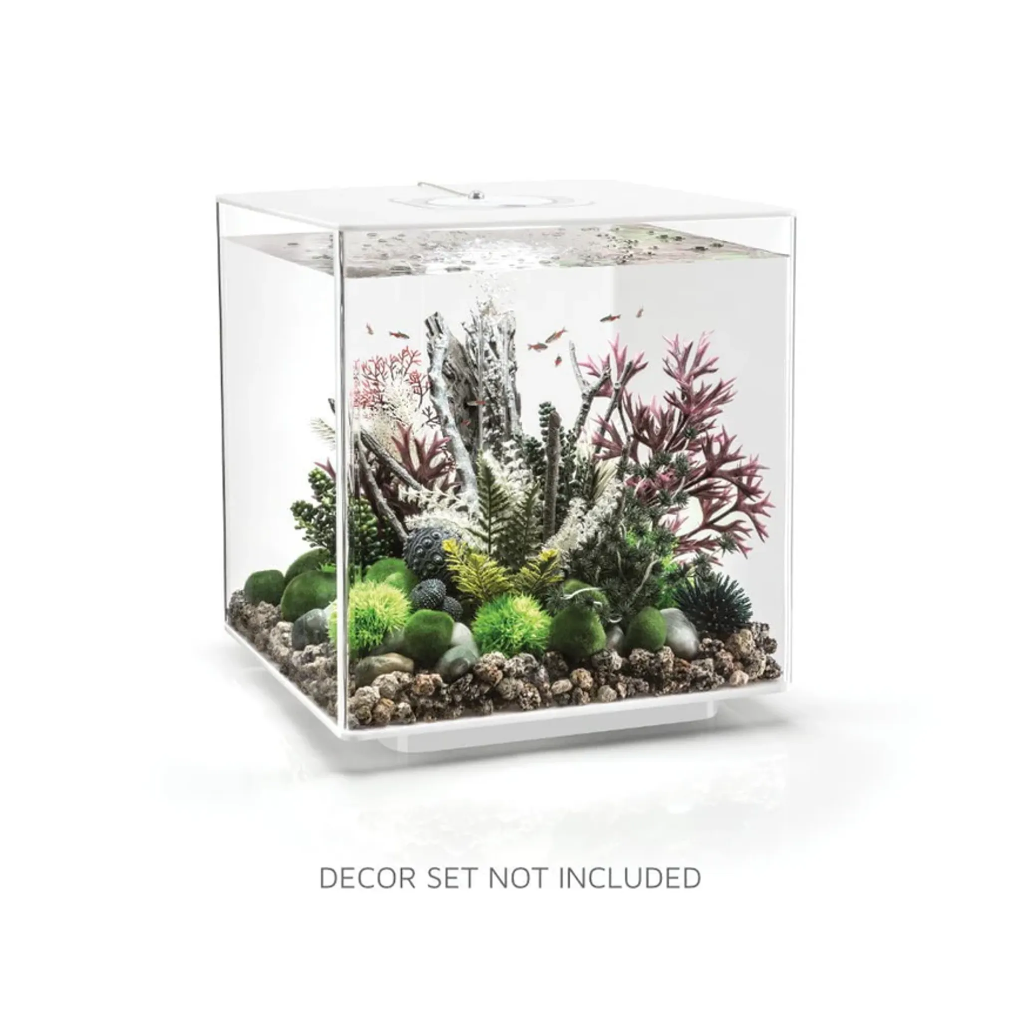 biOrb CUBE 60 Aquarium (MCR - Multi-Color Remote)