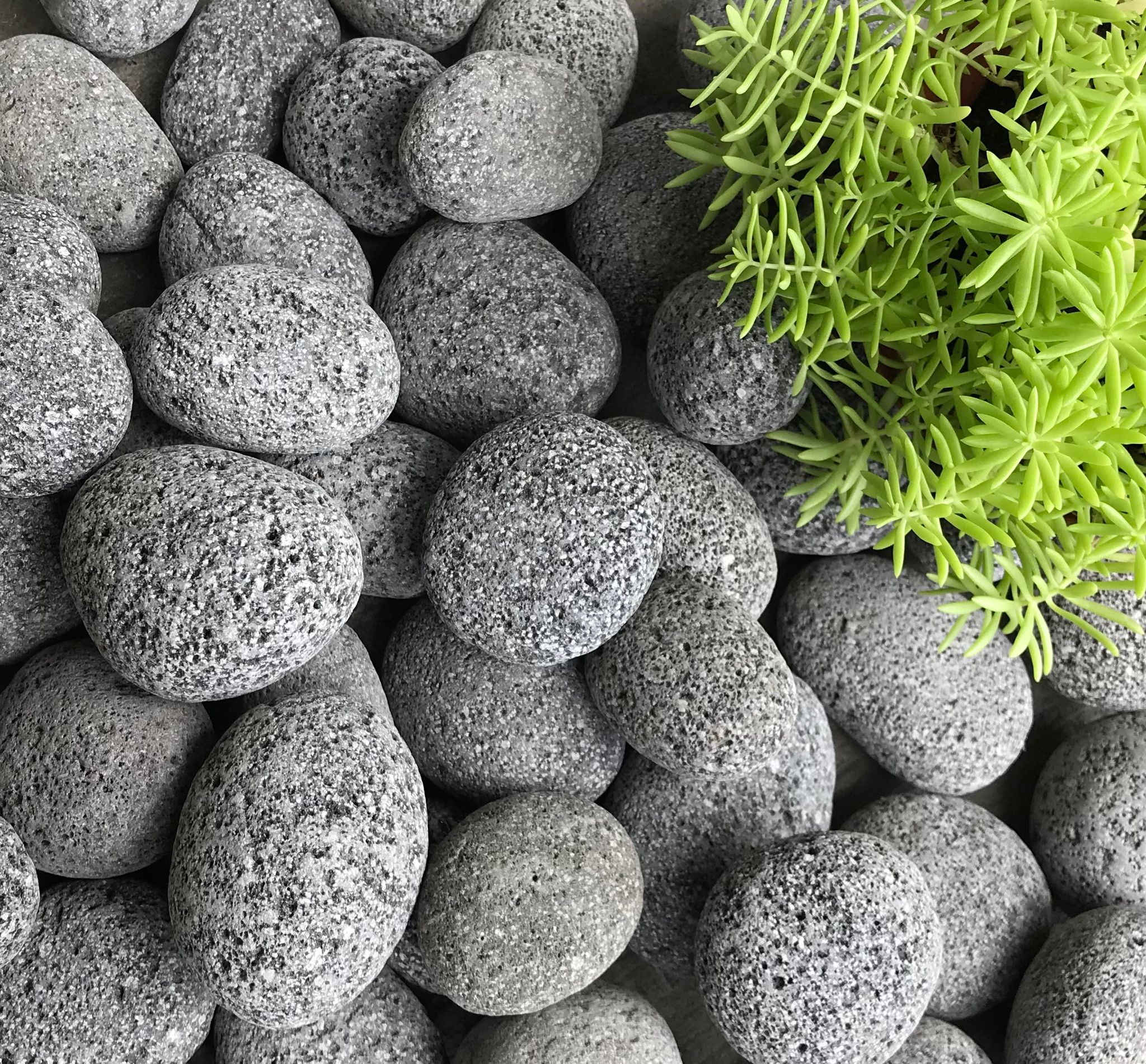 BLACK LAVA PEBBLE STONE (20kg)