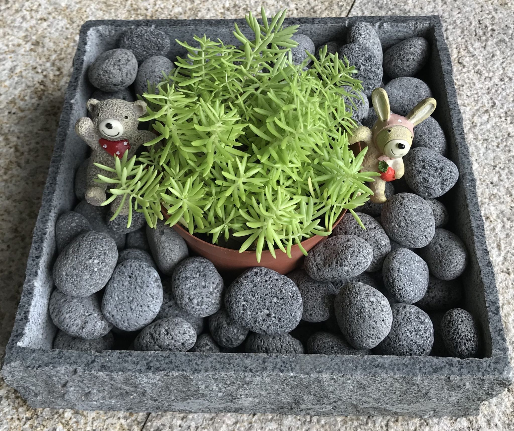 BLACK LAVA PEBBLE STONE (20kg)
