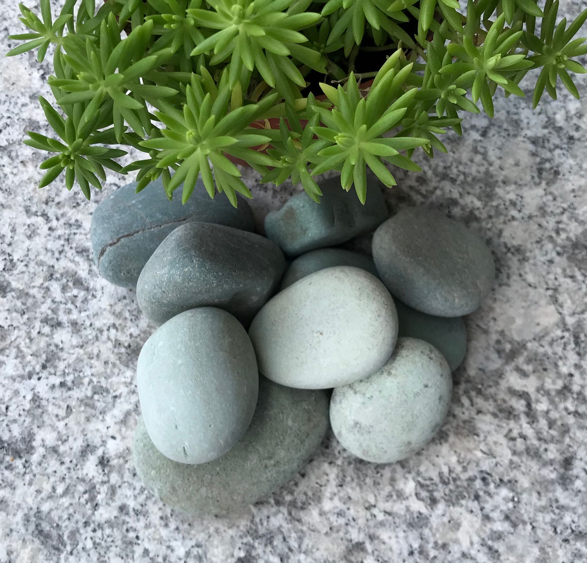GREEN PEBBLE STONE (20kg)