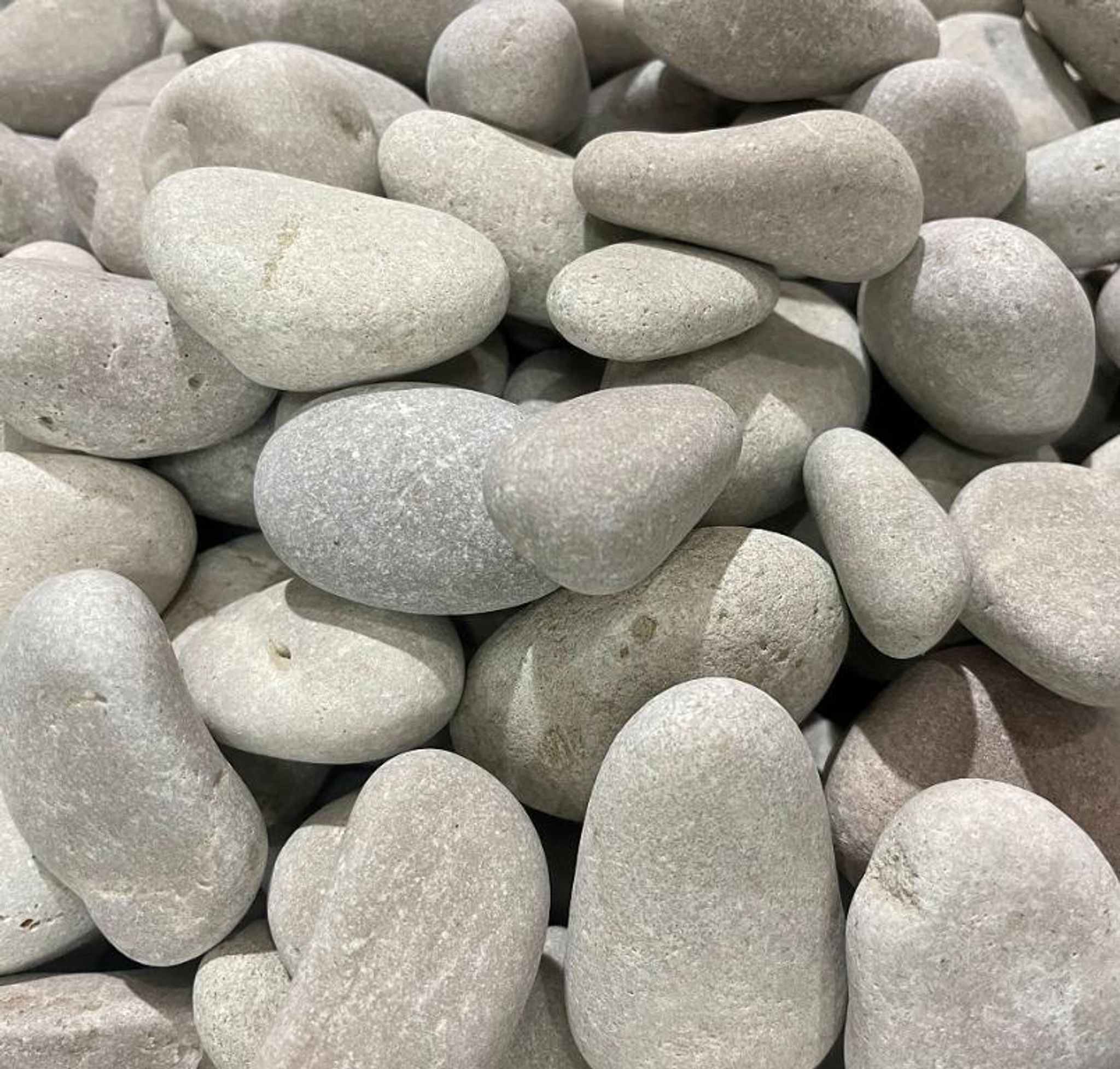 TAN WHITE OYSTER PEBBLE STONE (20kg)