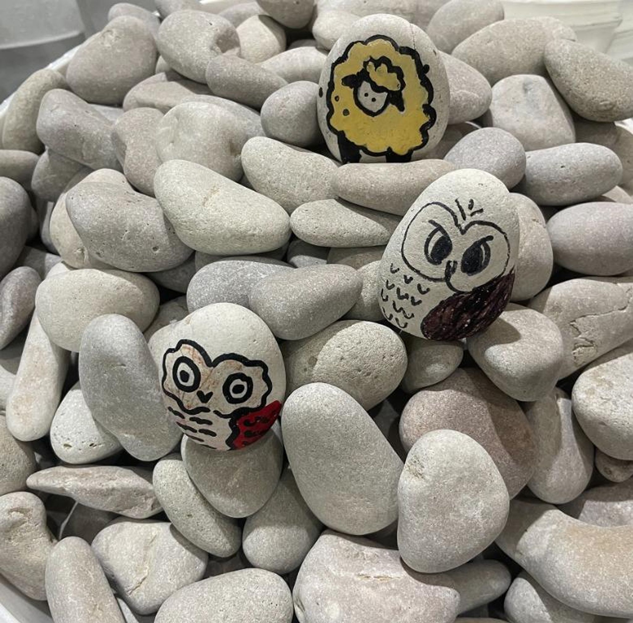 TAN WHITE OYSTER PEBBLE STONE (20kg)