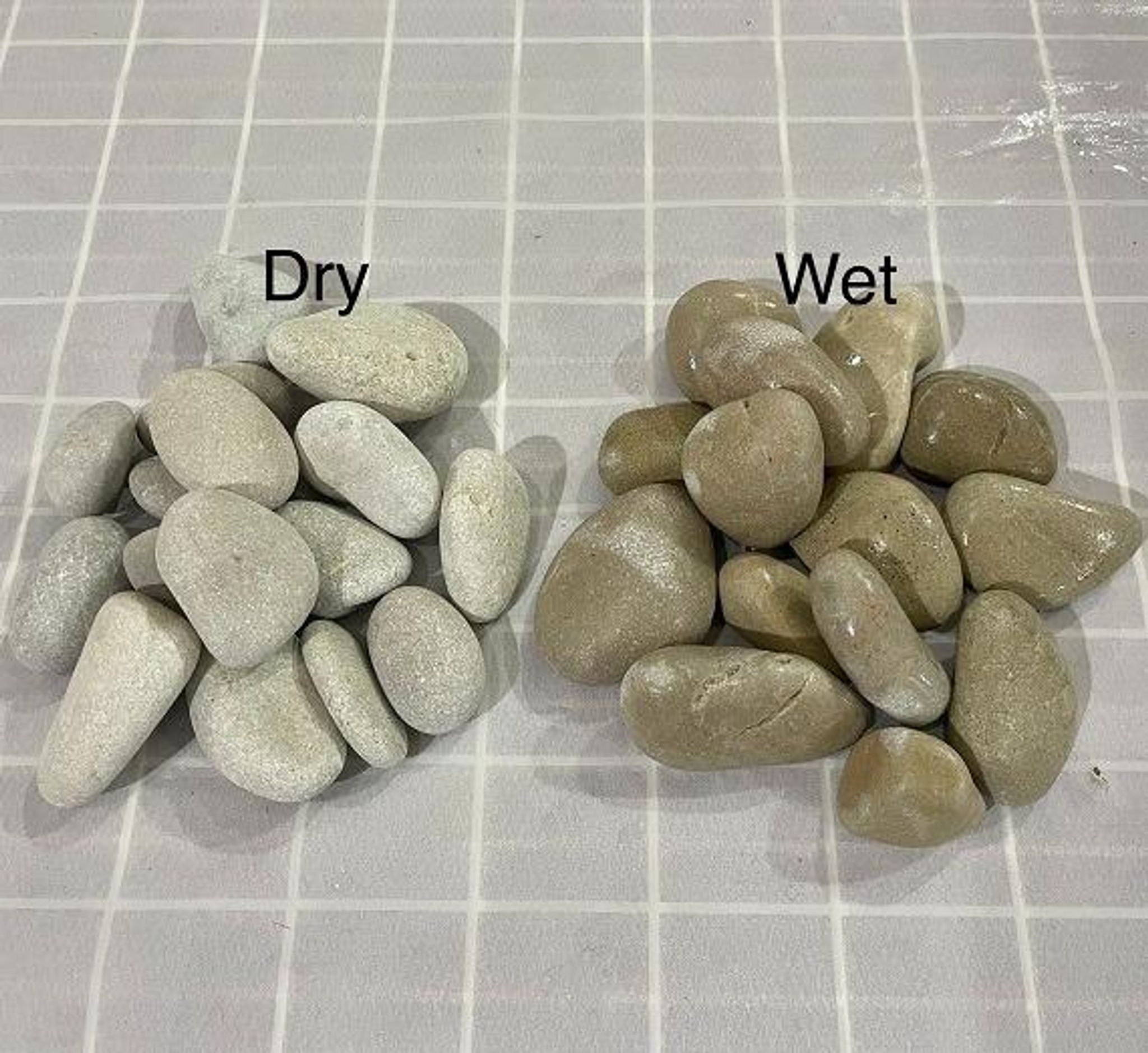TAN WHITE OYSTER PEBBLE STONE (20kg)
