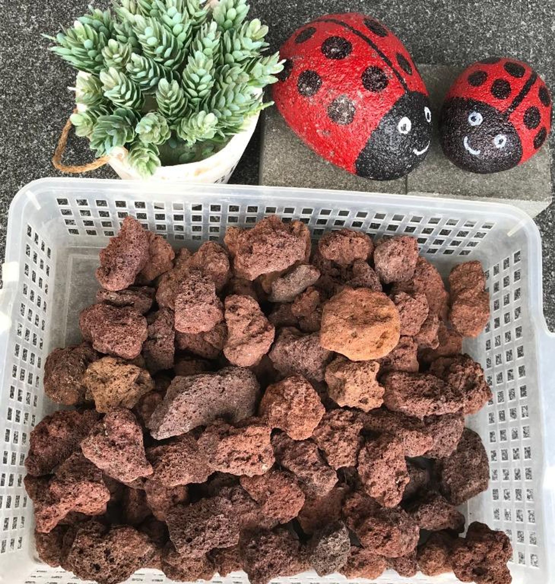 VOLCANIC RED LAVA ROCKS (20kg)