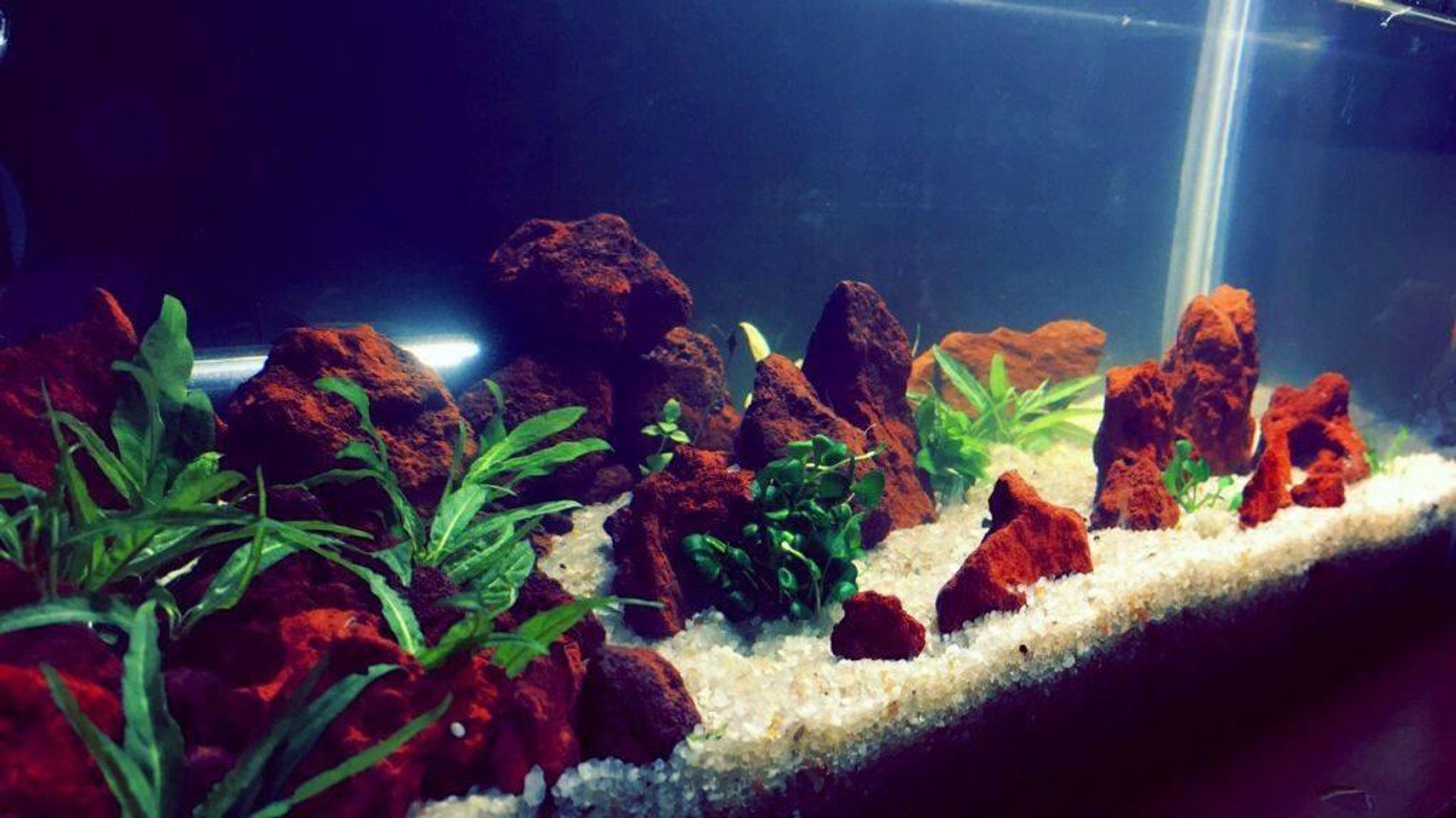 VOLCANIC RED LAVA ROCKS (JUMBO) (20kg)