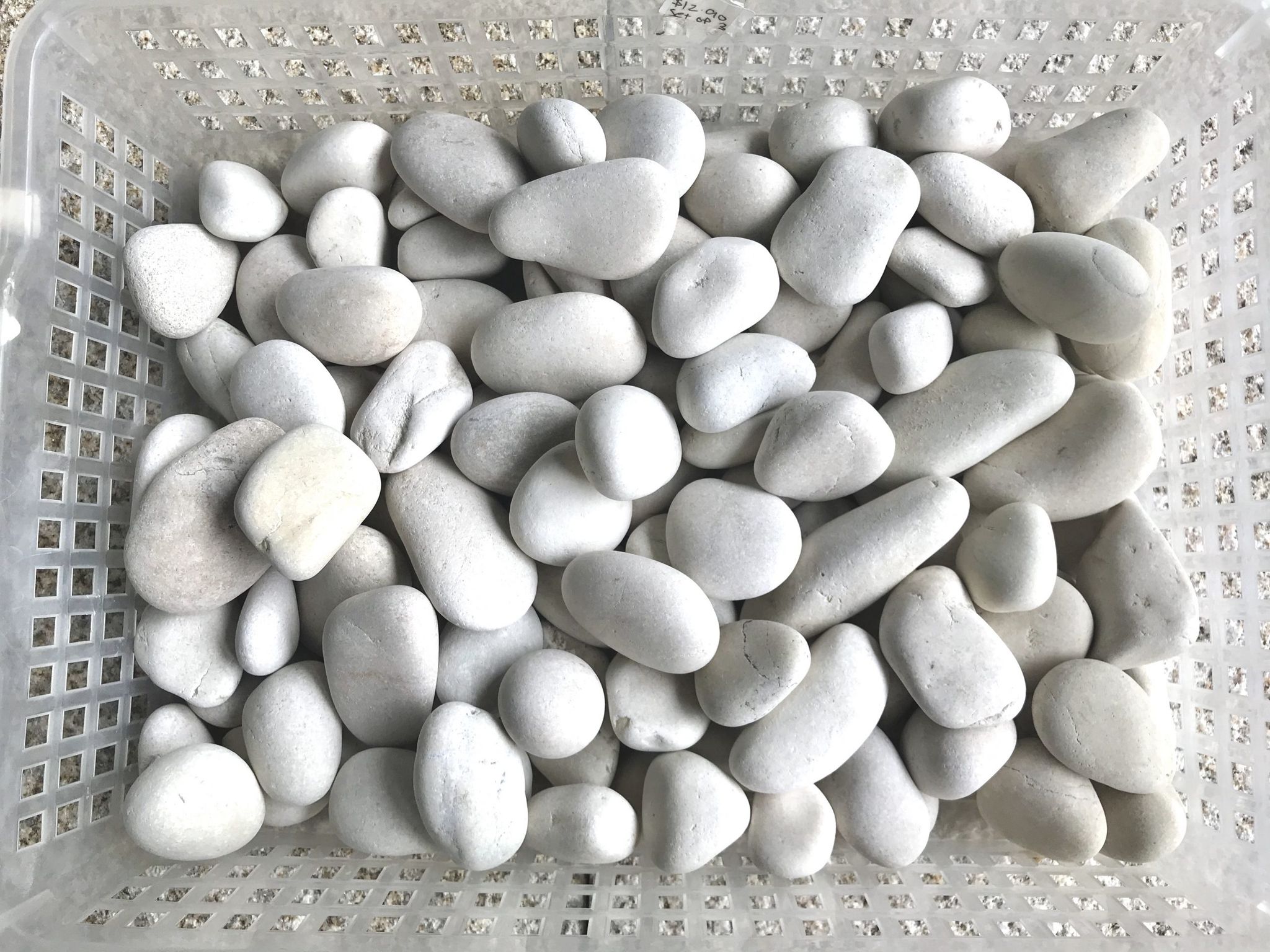 WHITE PEBBLE STONE (20kg)