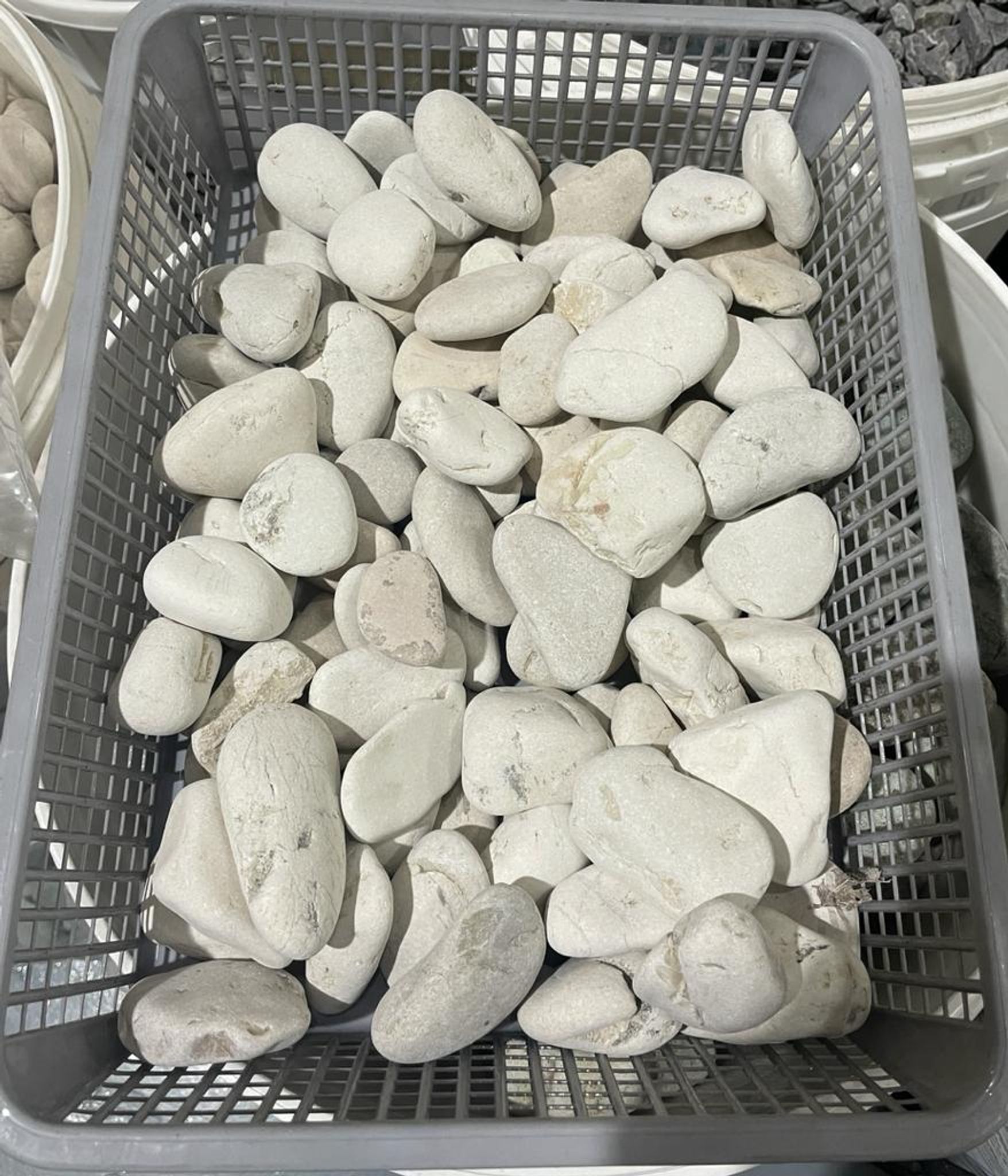 WHITE PEBBLE STONE (20kg)