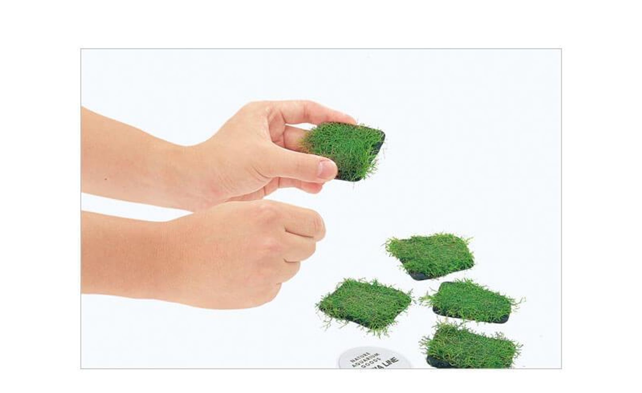 ADA Riccia Stone (10pc)