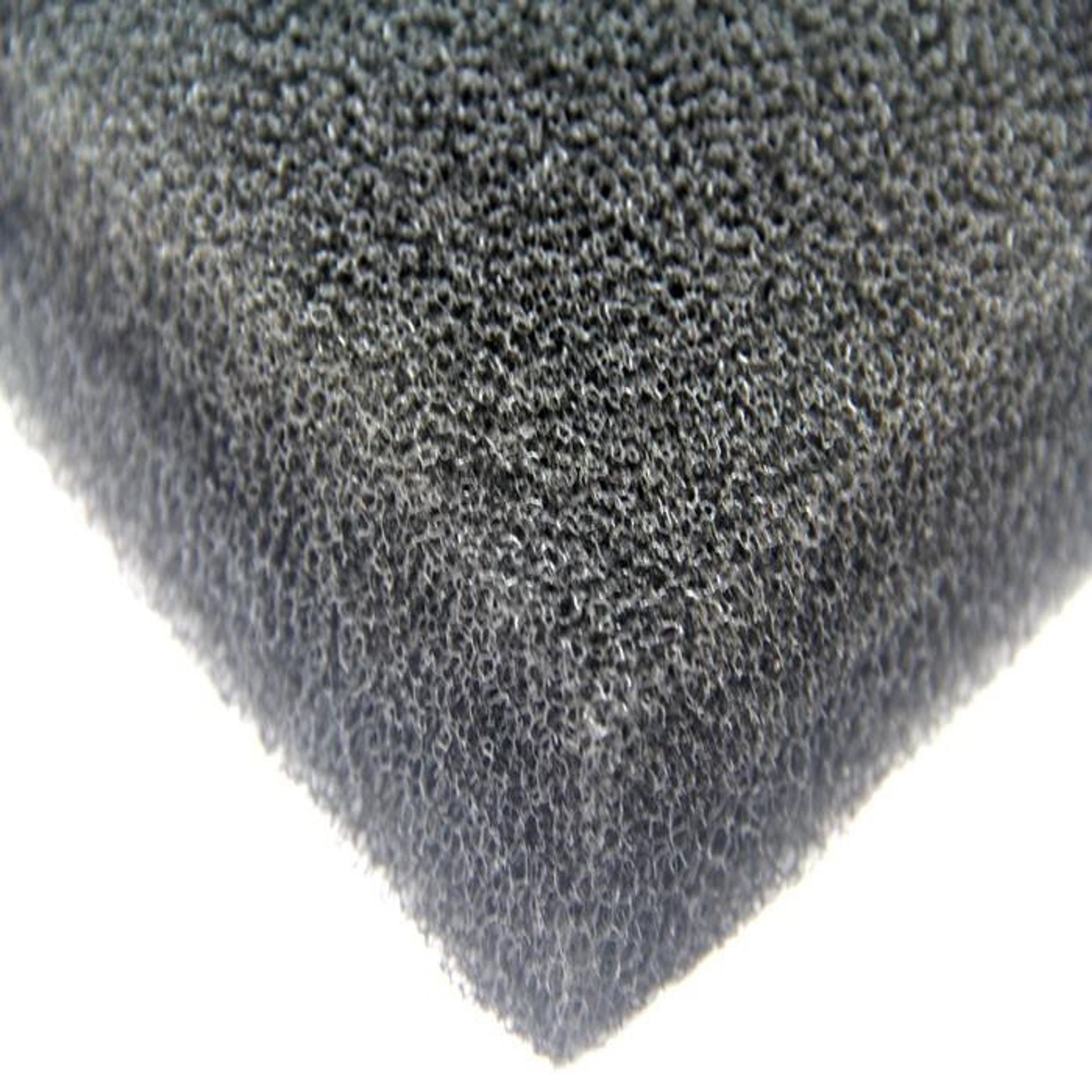 ANS Black Biological Sponge (filtration sponge)(various size)