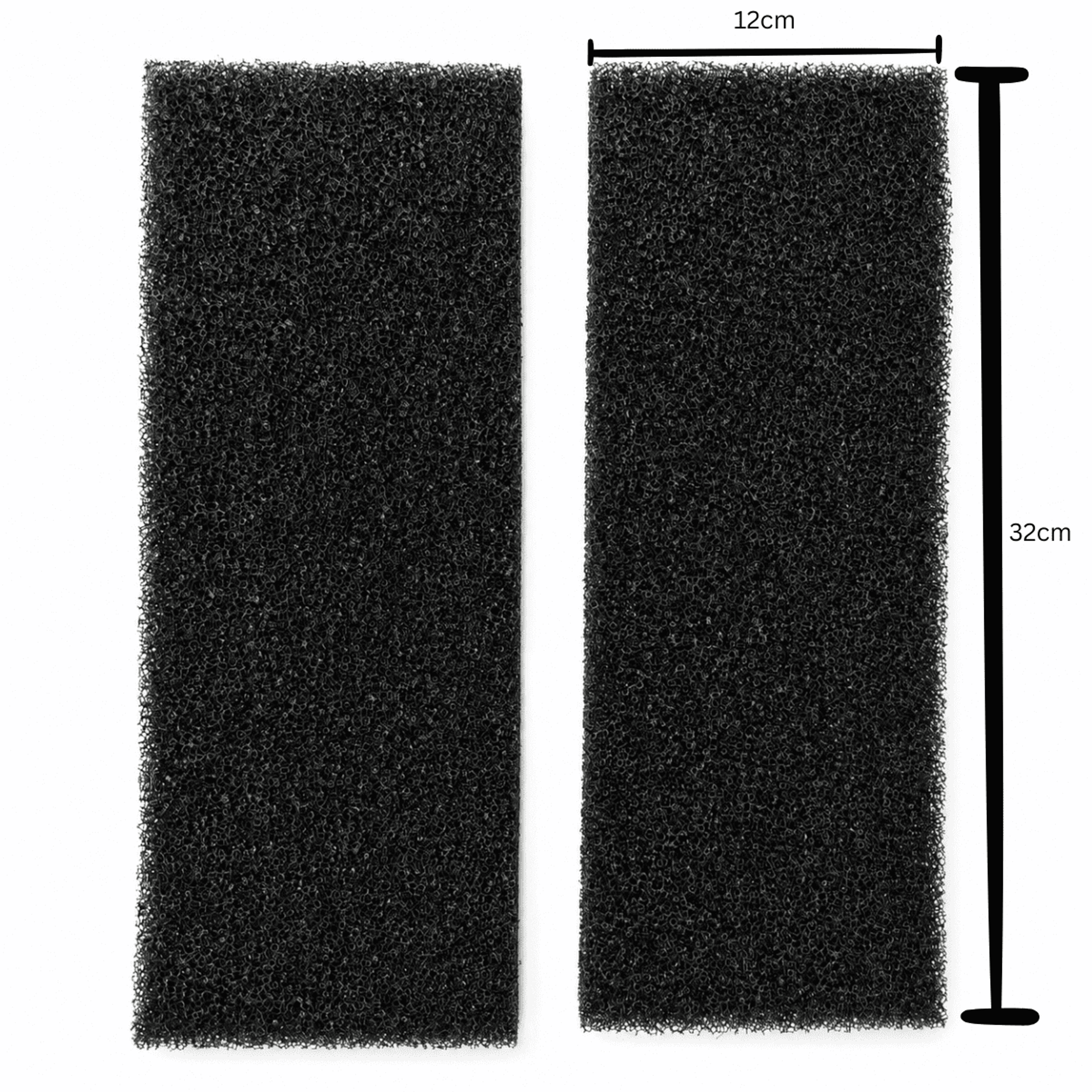 ANS Black Bio Sponge Small Pack 32x12cm (2/pack)
