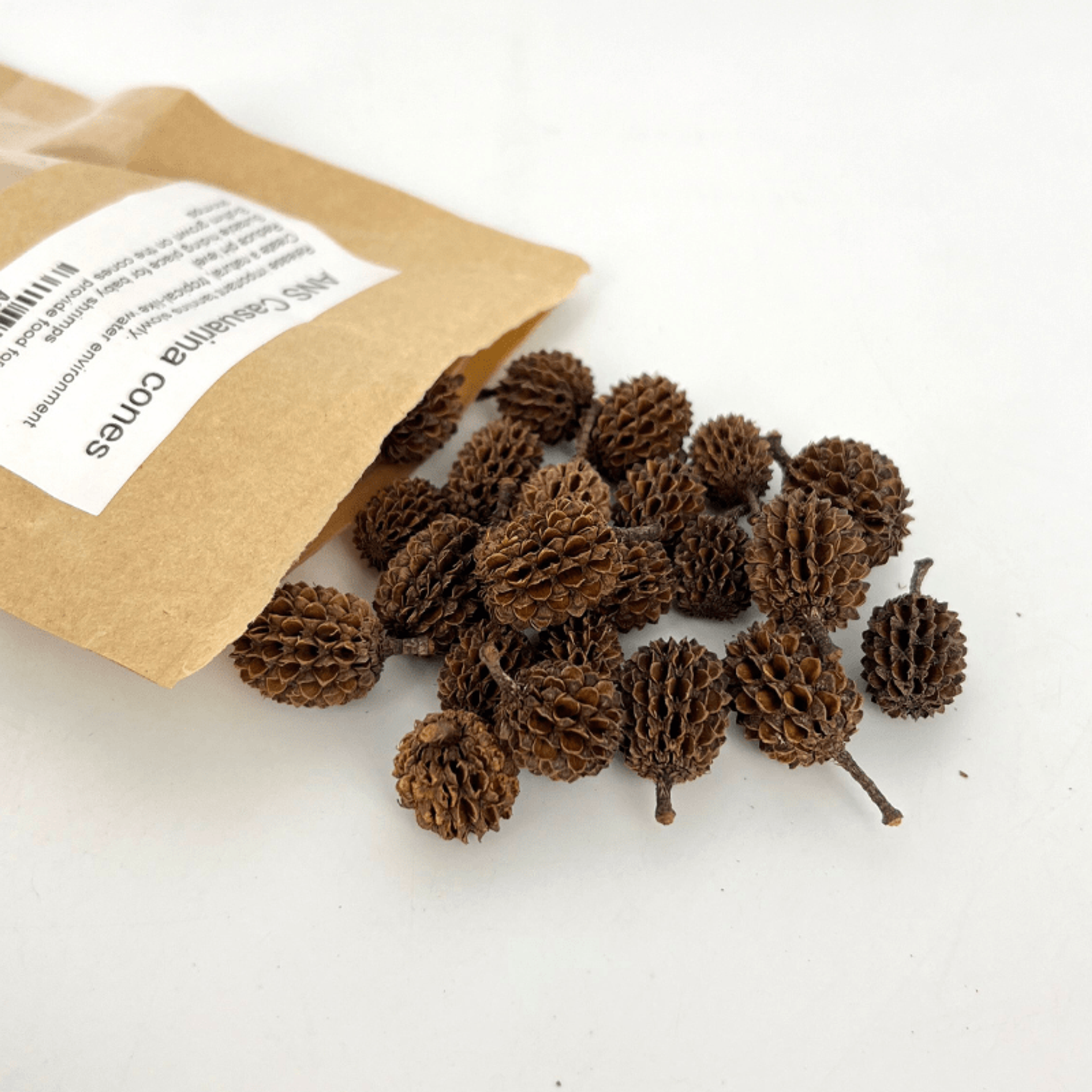ANS Casuarina Cones Aquarium | Lower pH Tannins |