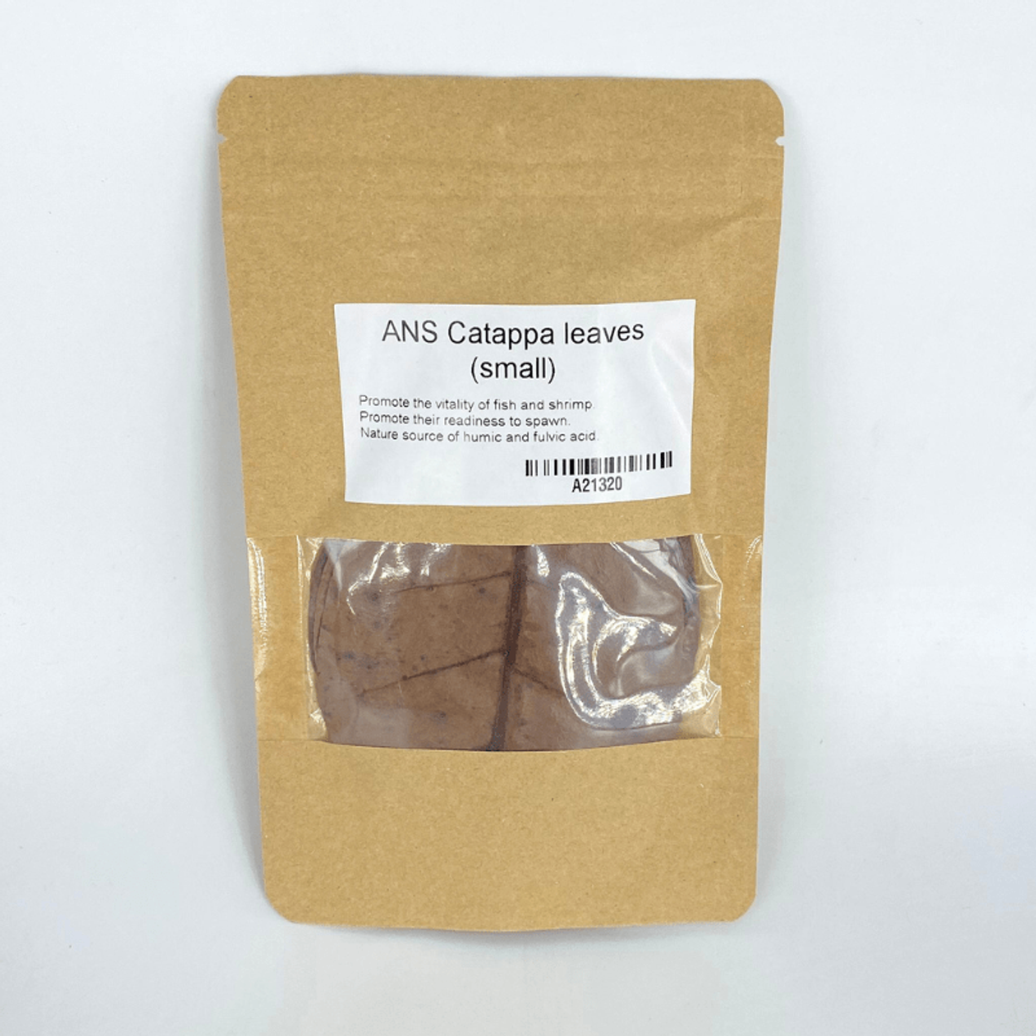 ANS Catappa Leaves | Indian Almond Leaves