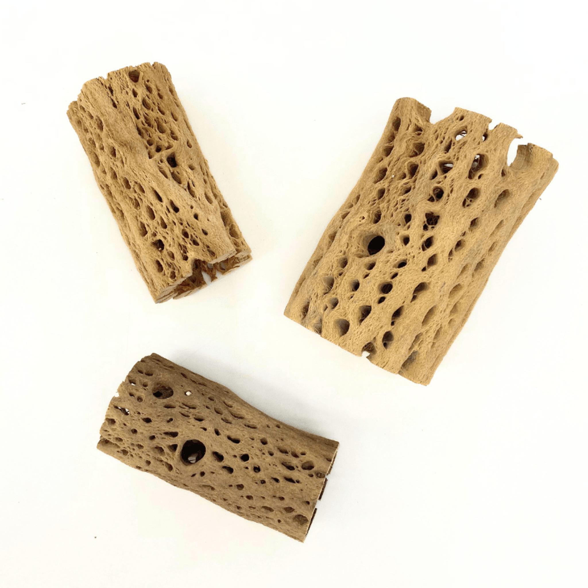 ANS Cholla Tunnel Tubes Single S/M (driftwood)