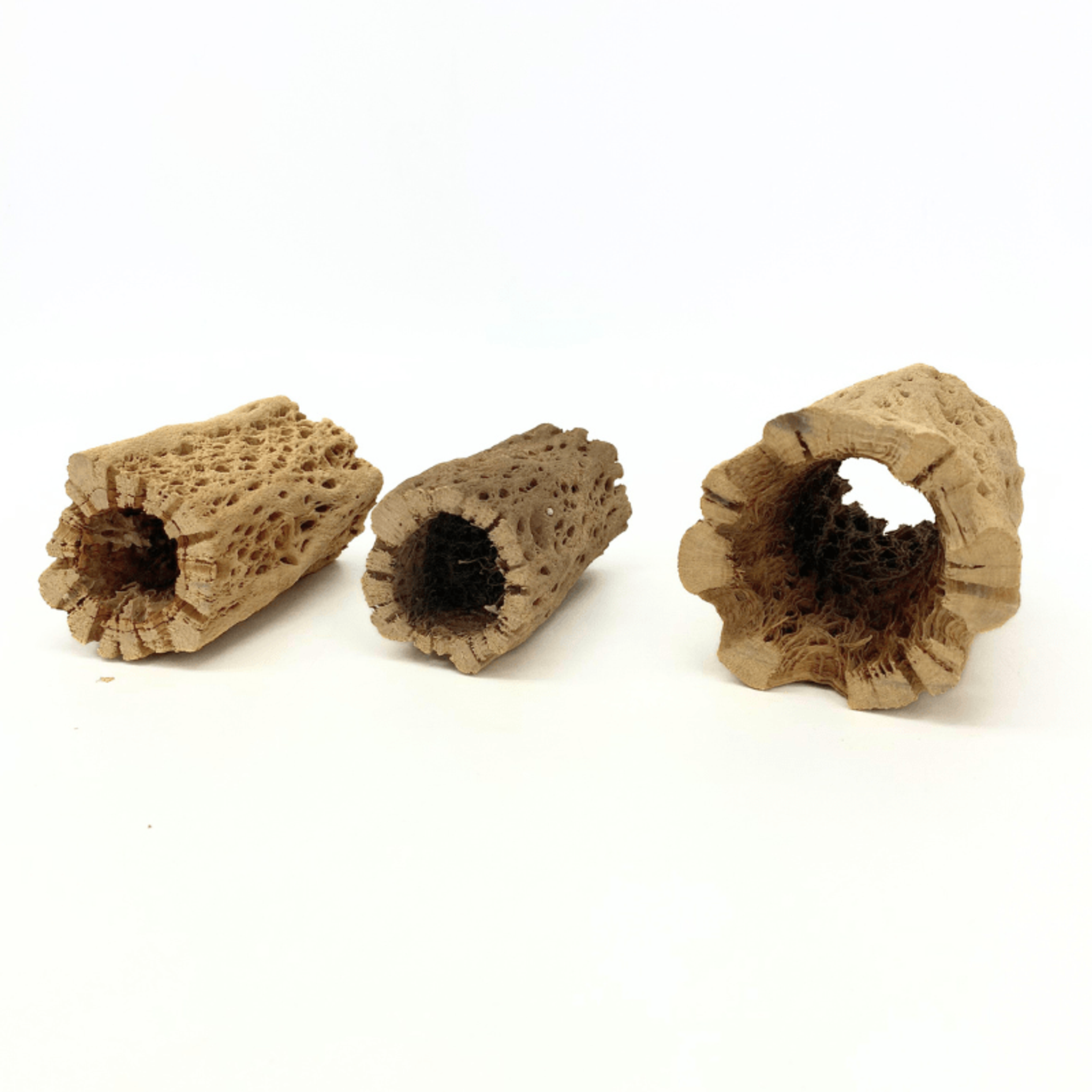 ANS Cholla Tunnel Tubes Single S/M (driftwood)